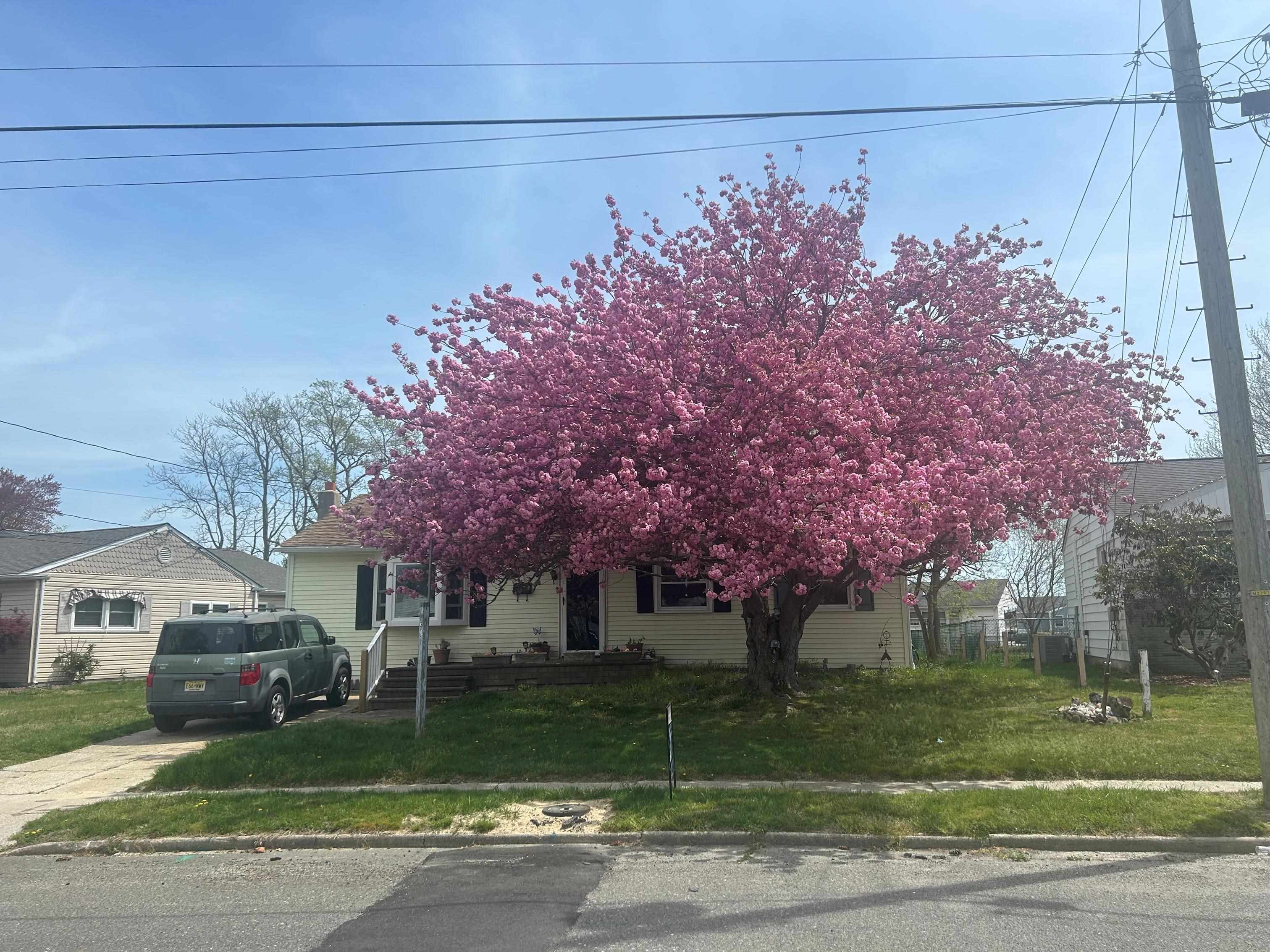 318 Linden Lane - Picture 2