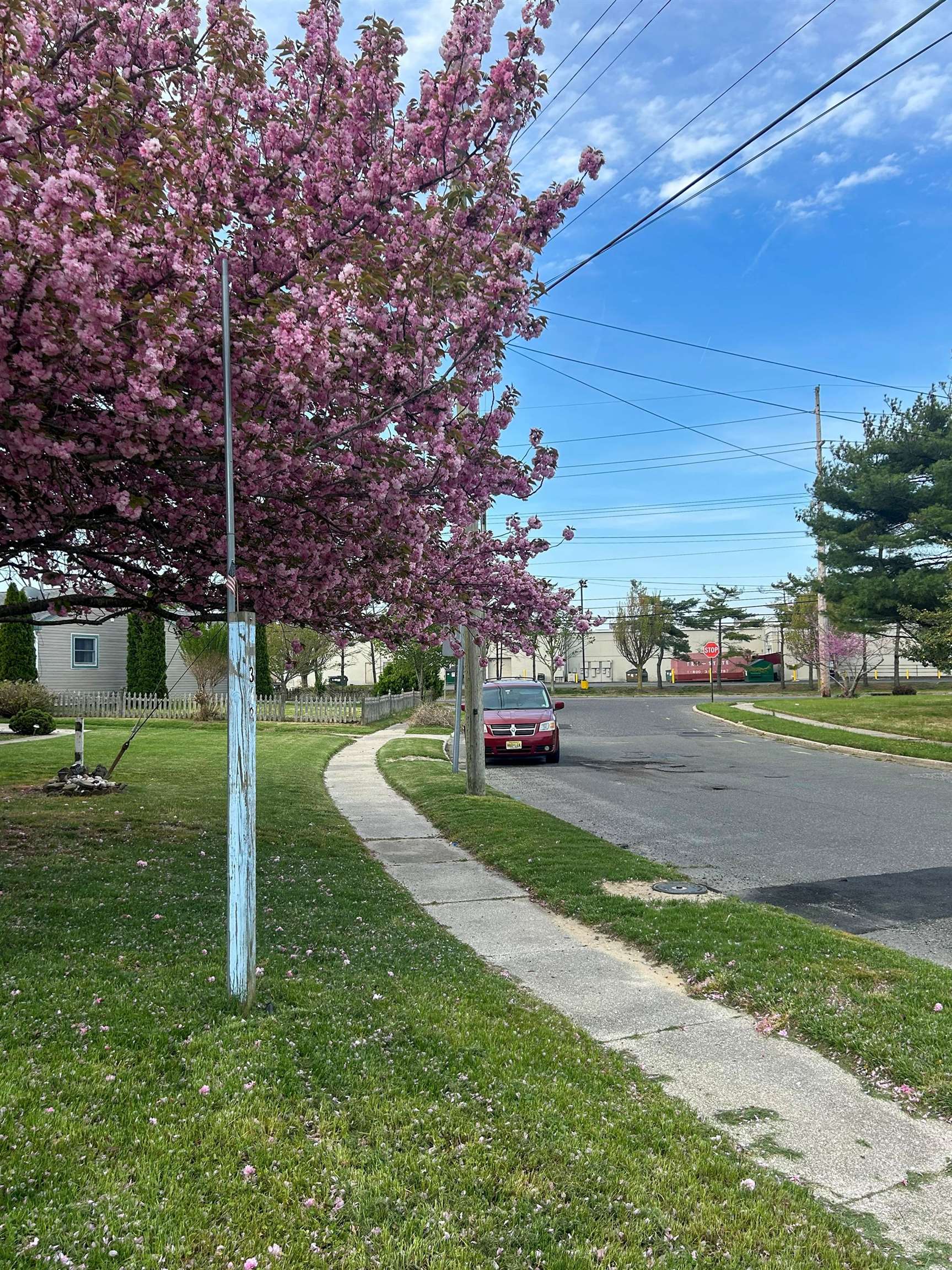 318 Linden Lane - Picture 2