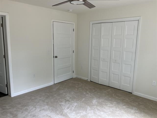 2 Kentucky - Picture 7