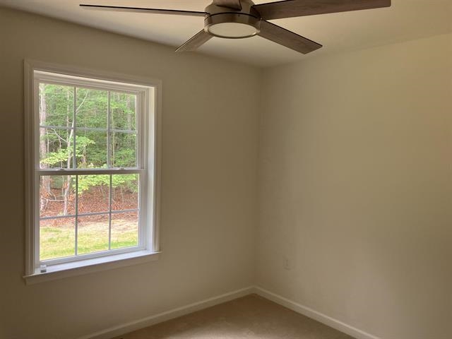 2 Kentucky - Picture 8