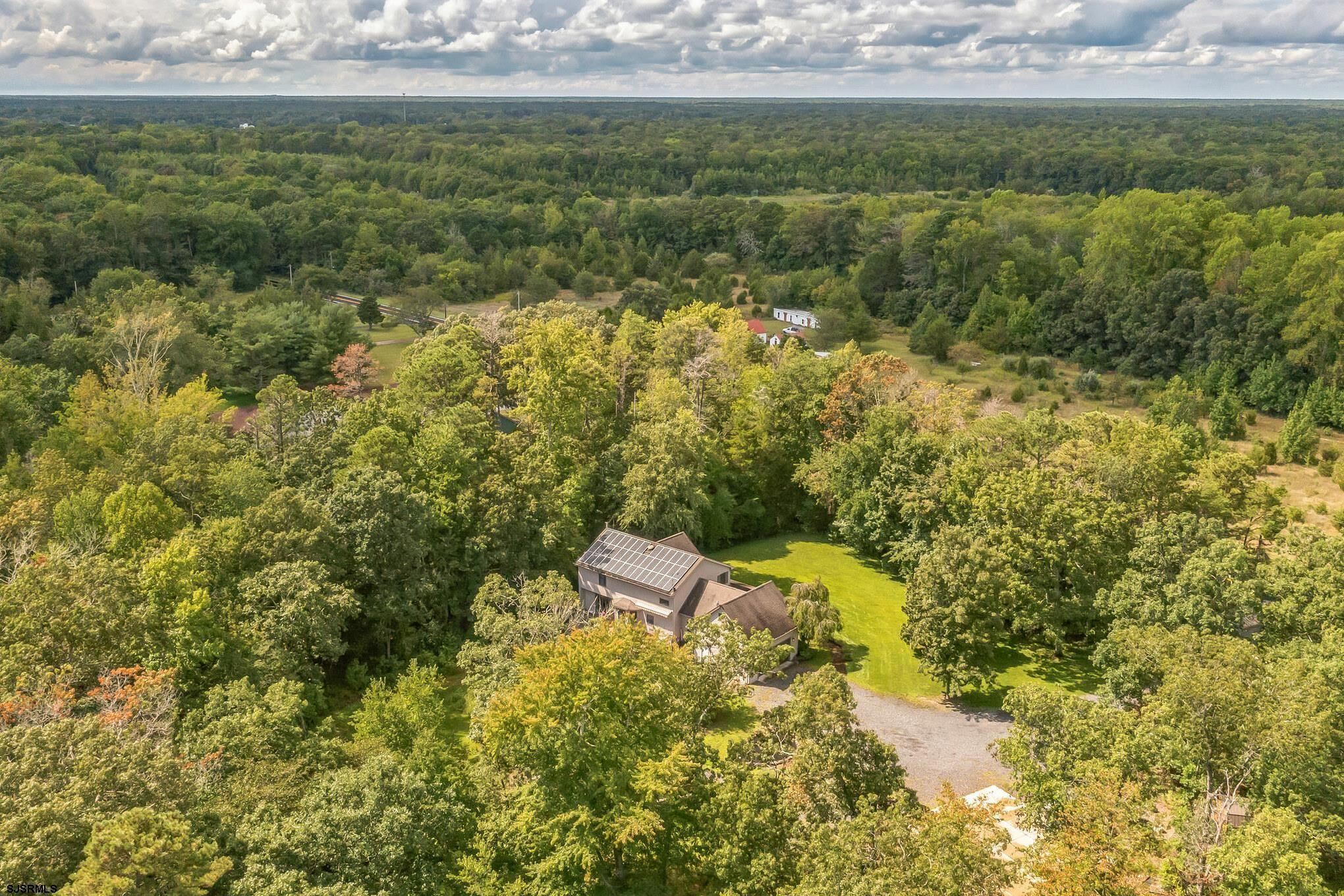 261375 | Photo 2