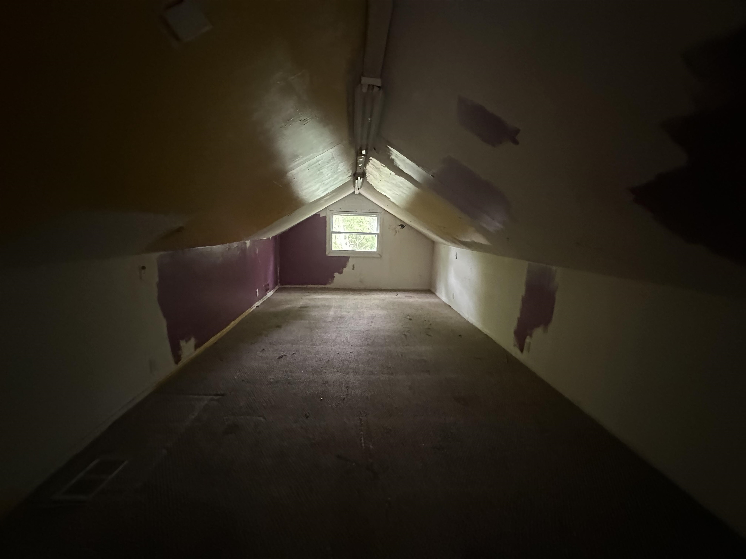 261446 | Photo 17