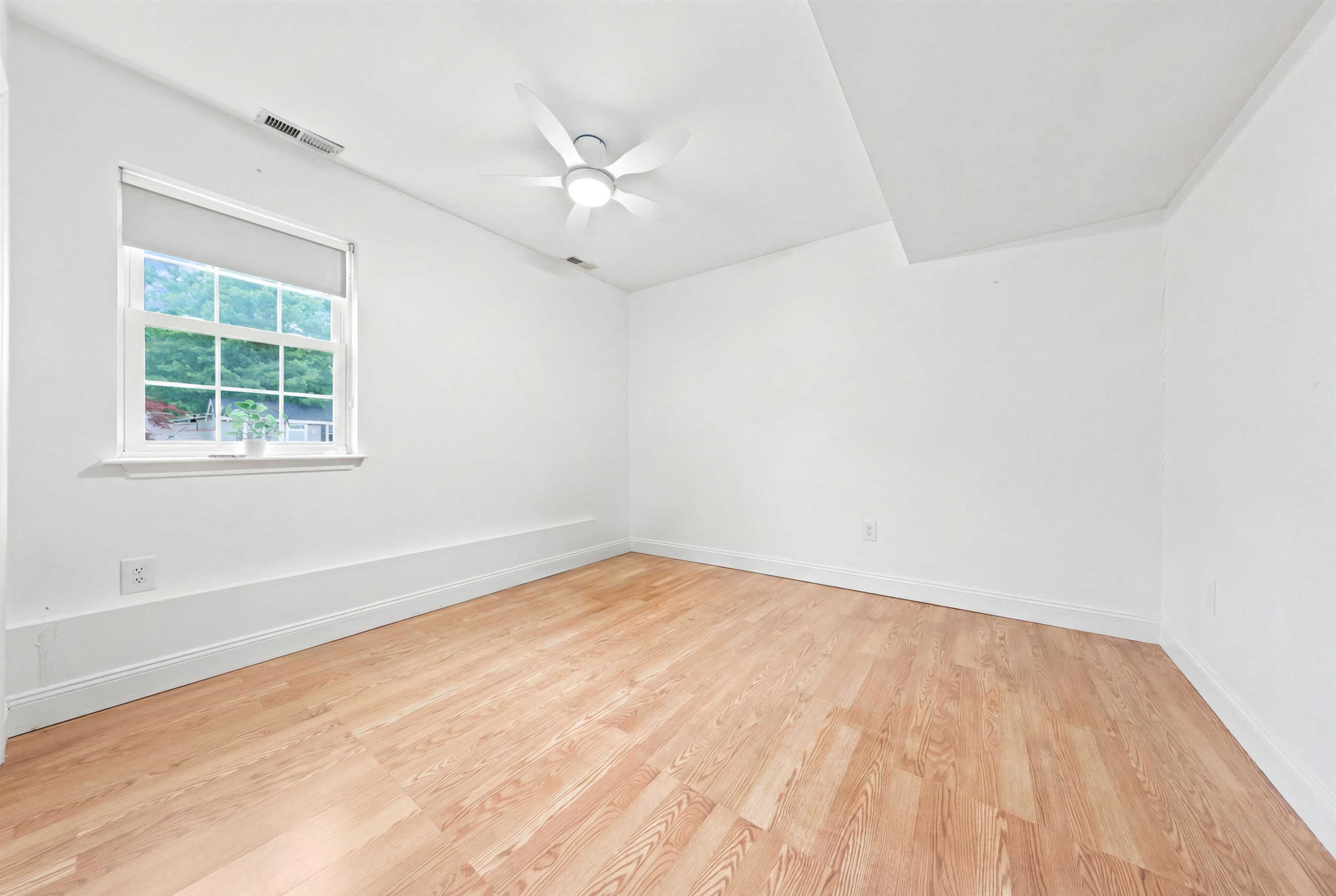 261693 | Photo 17