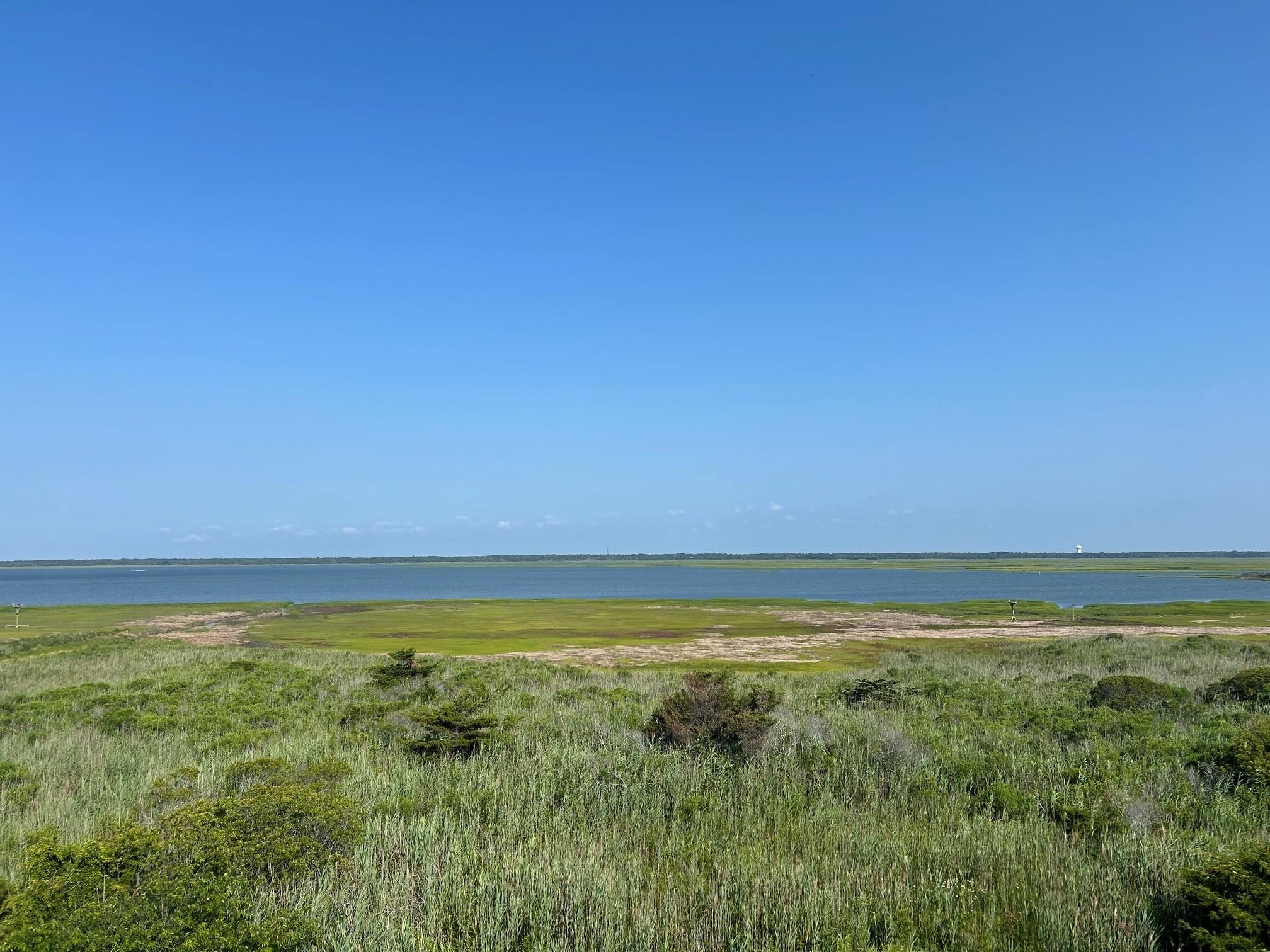 261768 | Photo 4