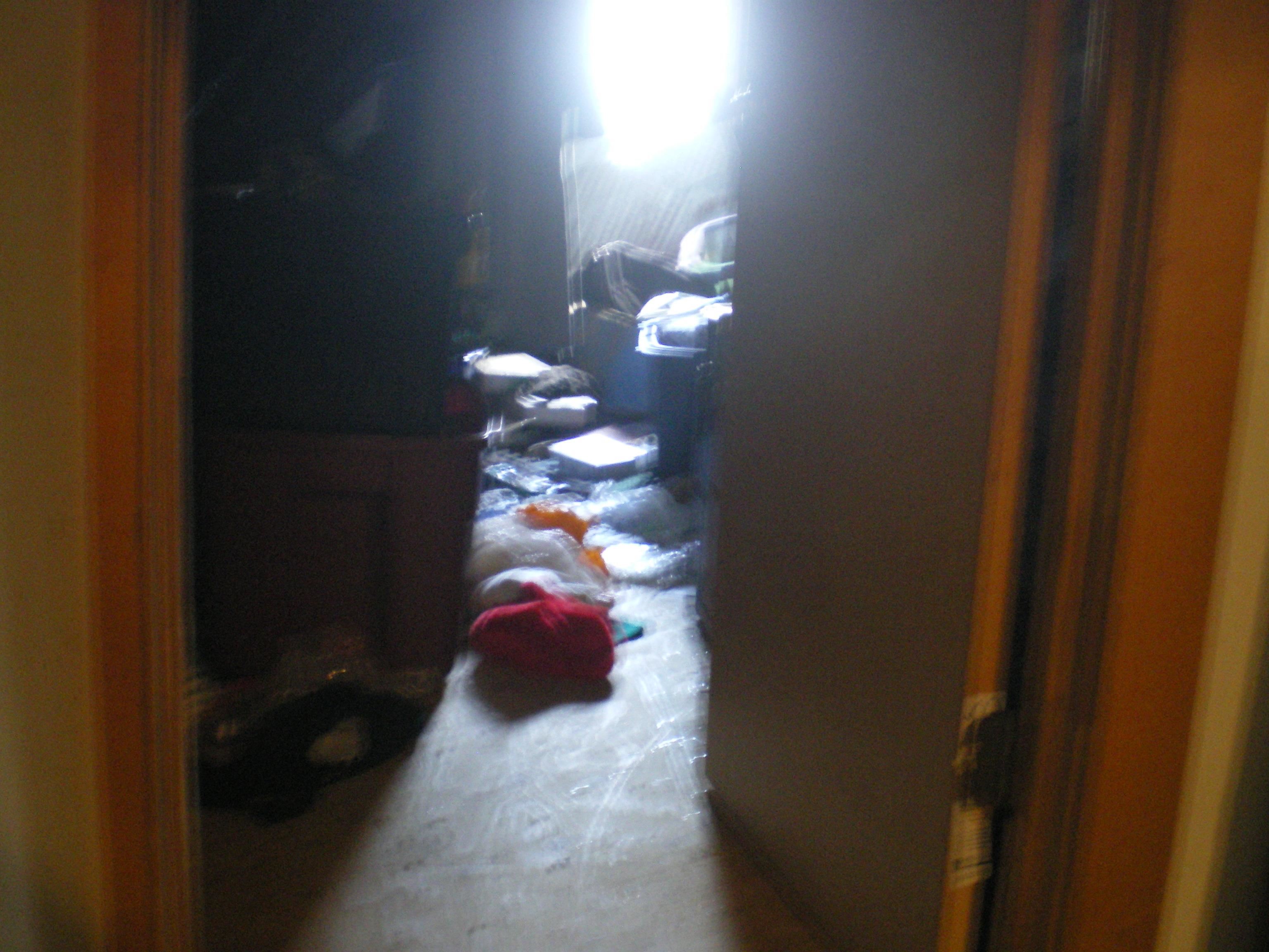 262344 | Photo 2