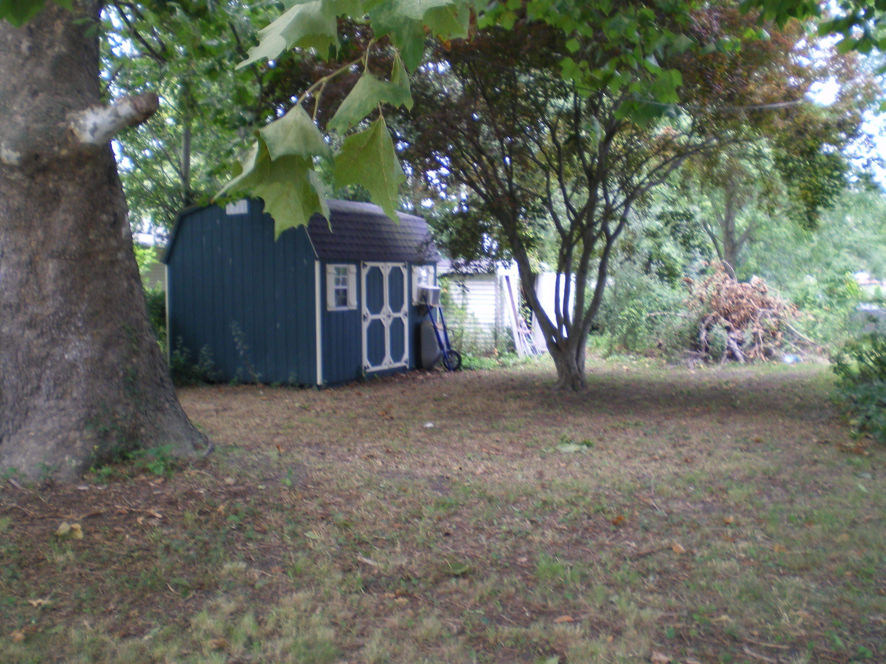 262344 | Photo 3