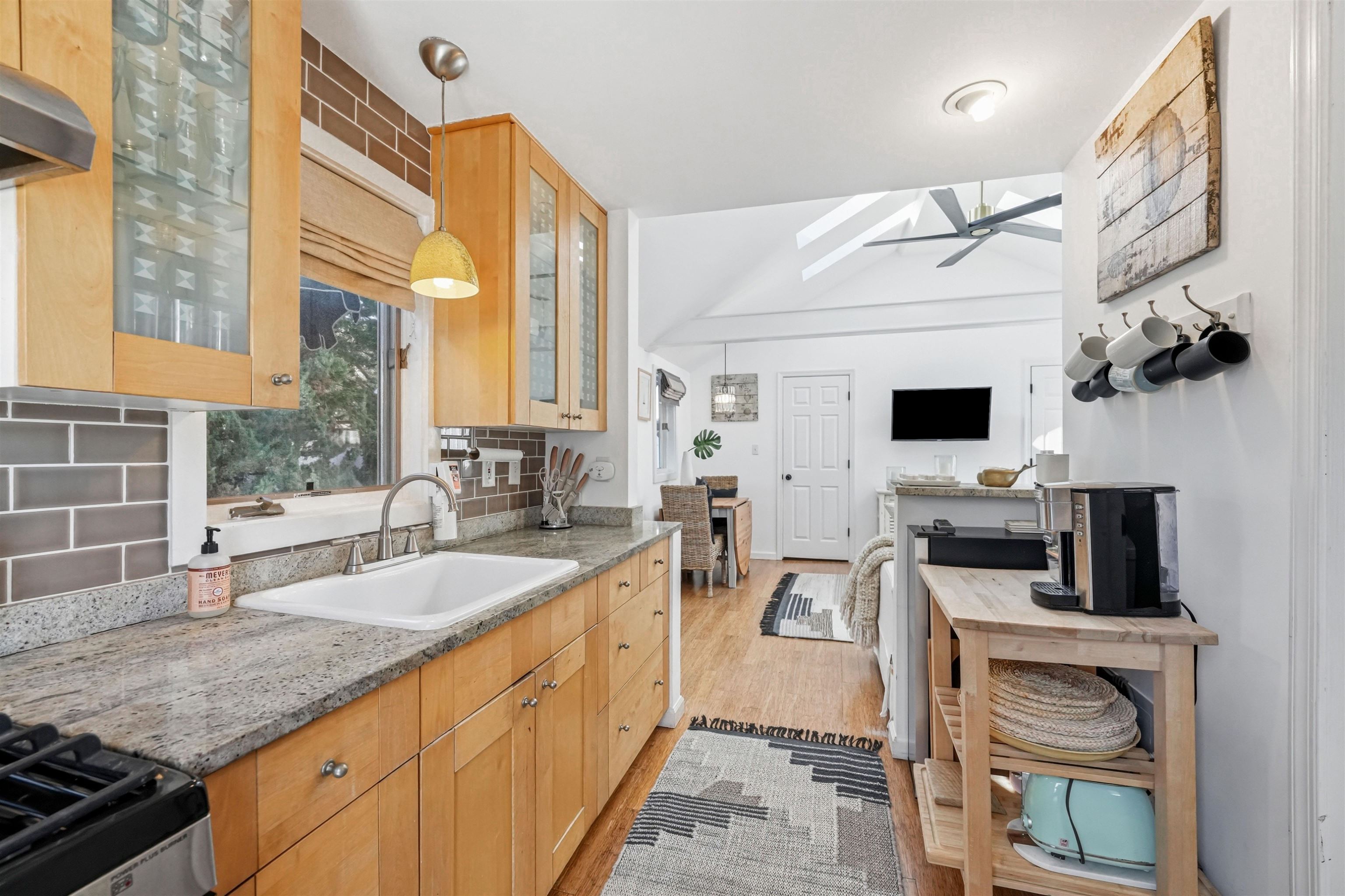 225 87th St Rear