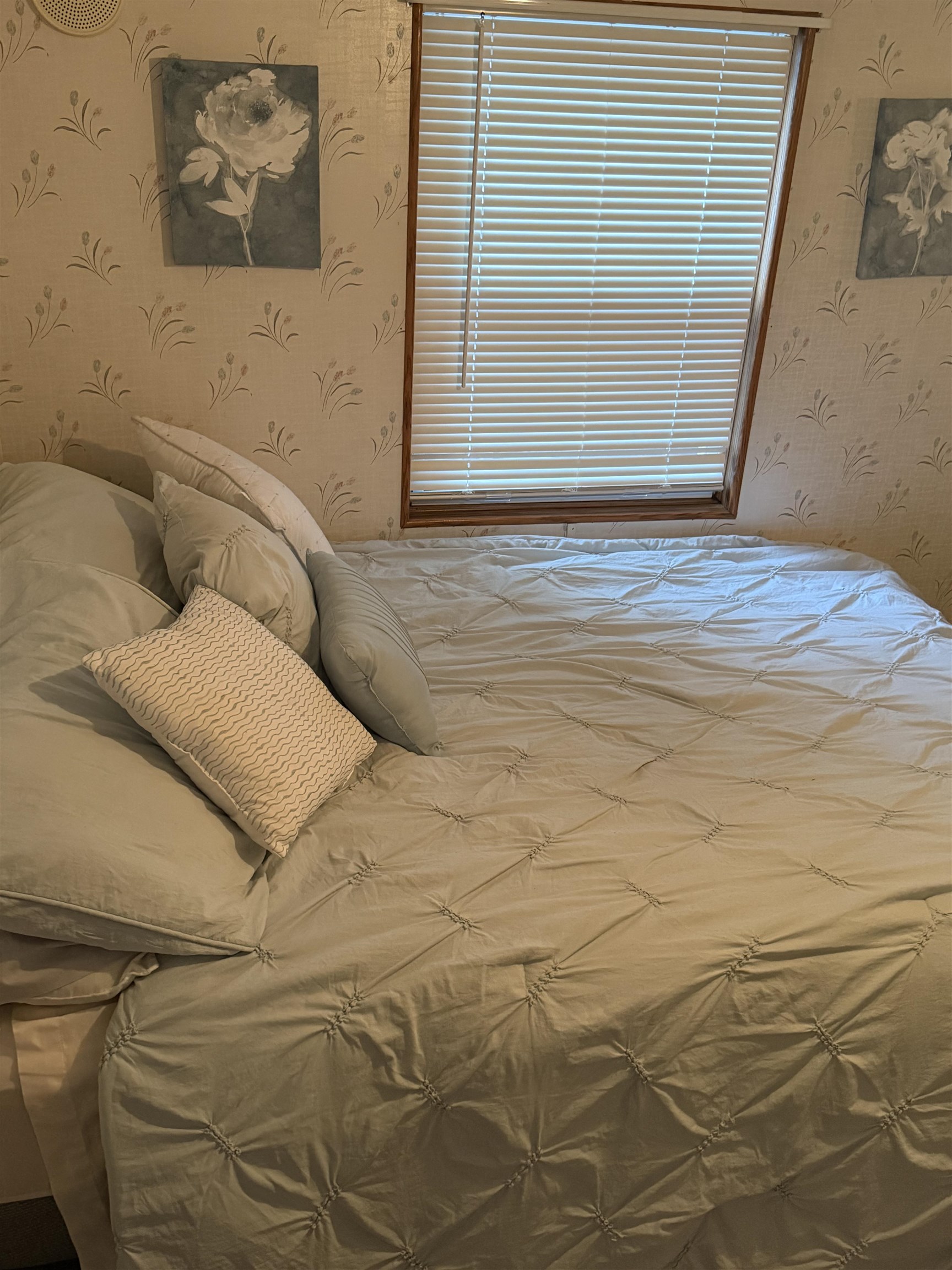 262693 | Photo 18
