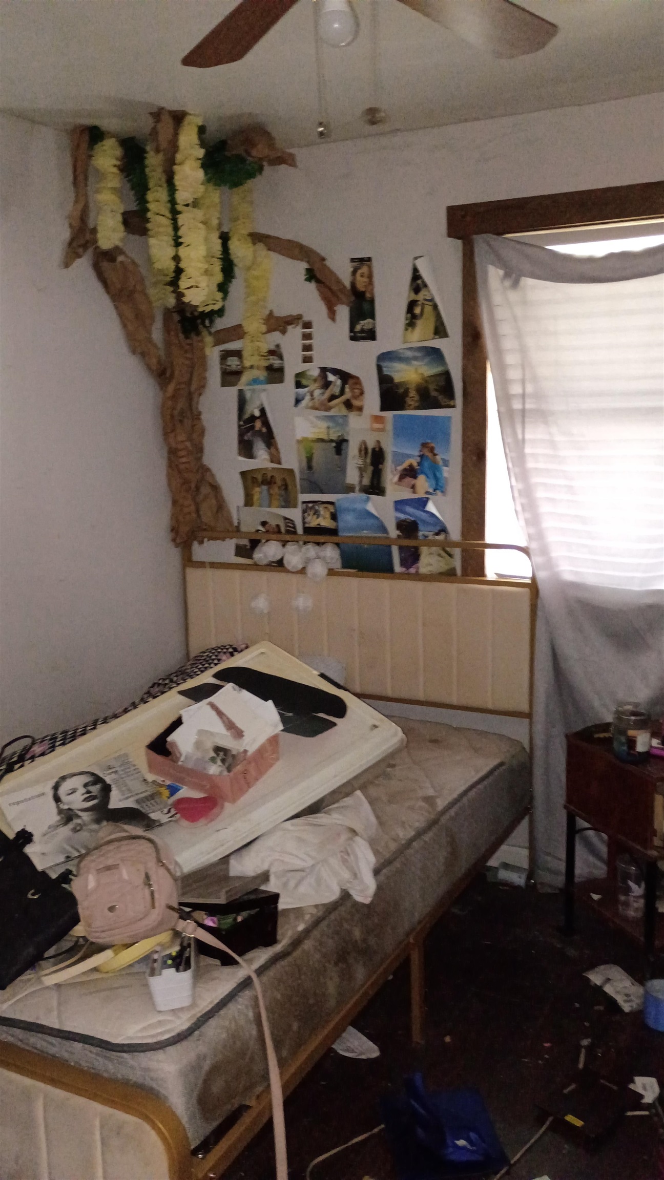 262702 | Photo 5
