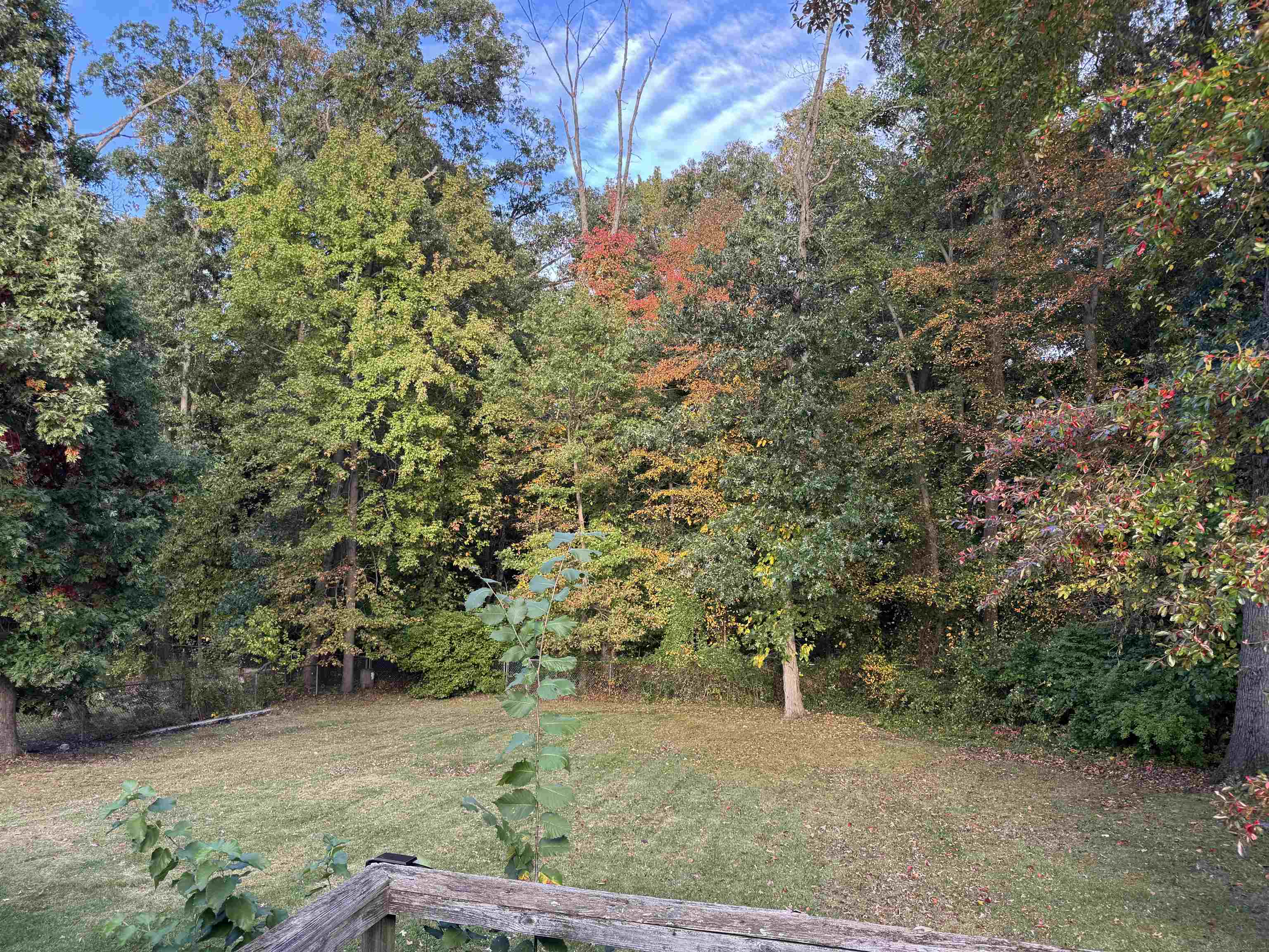 10 Duchess Avenue - Picture 14