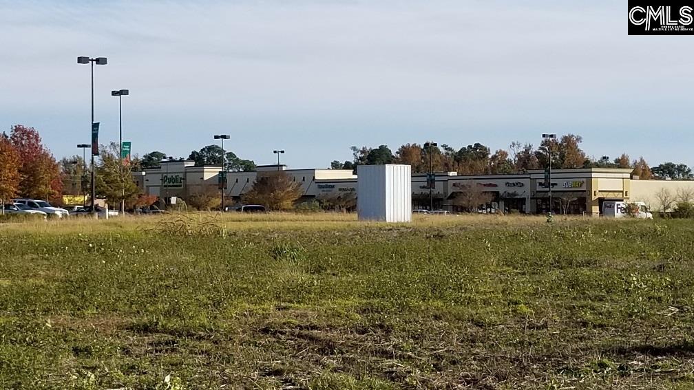 Lot 1 Bo-Tire Way / Hwy 378 Lexington, SC 29072