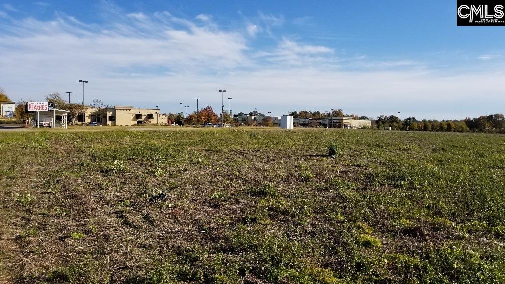 Lot 1 Bo-Tire Way / Hwy 378 Lexington, SC 29072