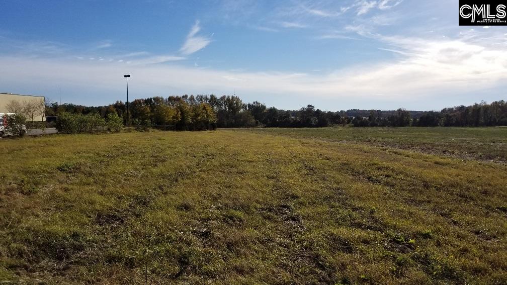 Lot 1 Bo-Tire Way / Hwy 378 Lexington, SC 29072