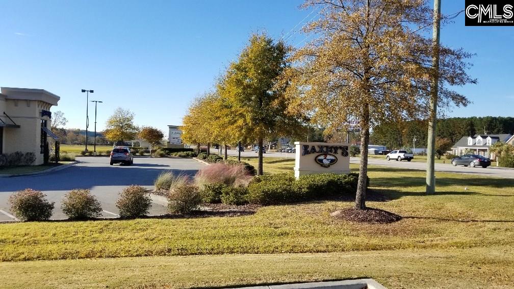 Lot 1 Bo-Tire Way / Hwy 378 Lexington, SC 29072