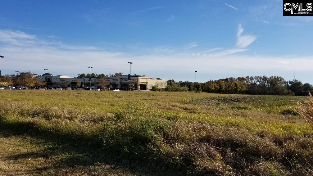 Lot 1 Bo-Tire Way / Hwy 378 Lexington, SC 29072