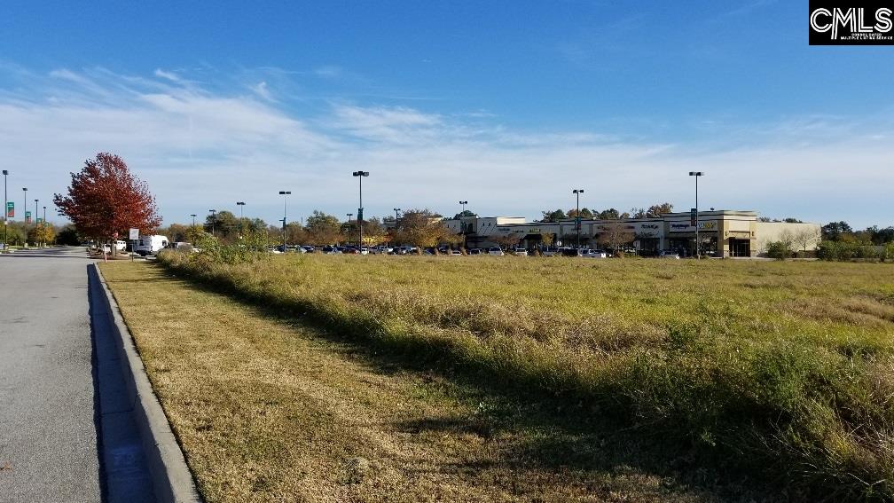 Lot 1 Bo-Tire Way / Hwy 378 Lexington, SC 29072