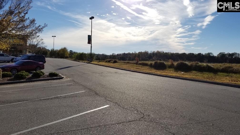 Lot 1 Bo-Tire Way / Hwy 378 Lexington, SC 29072