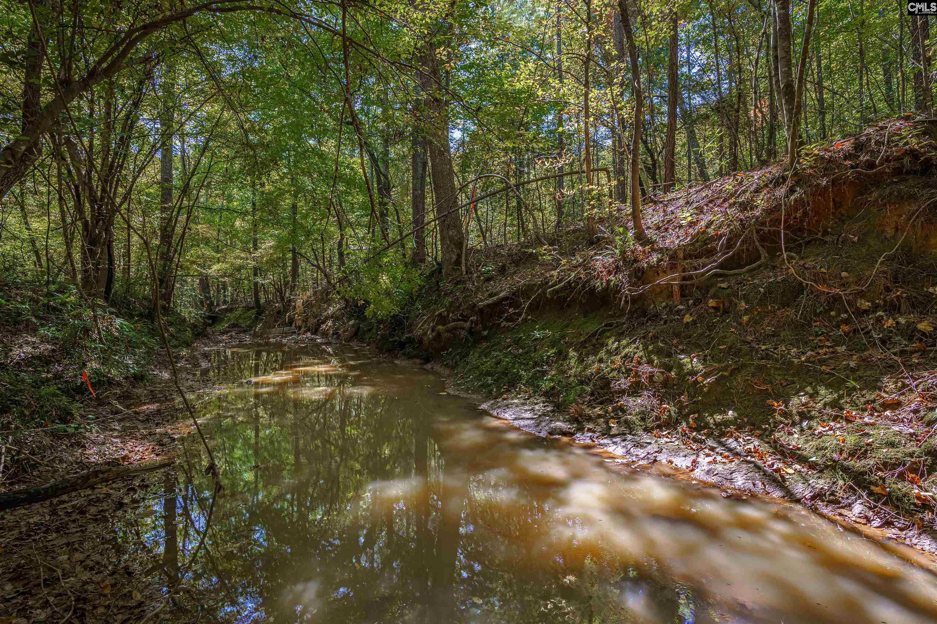 1335 Fulmer Road Blythewood, SC 29016
