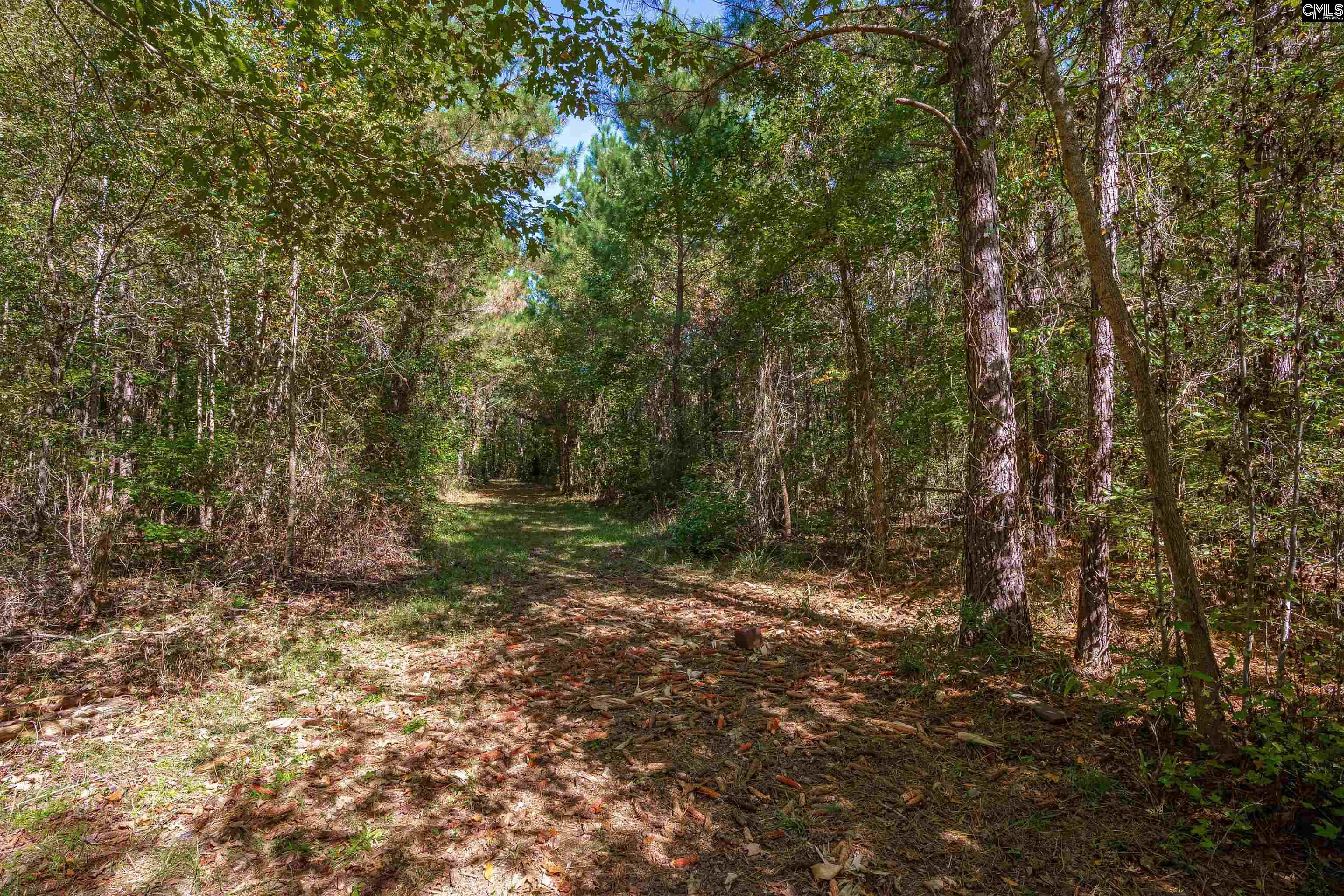 1335 Fulmer Road Blythewood, SC 29016
