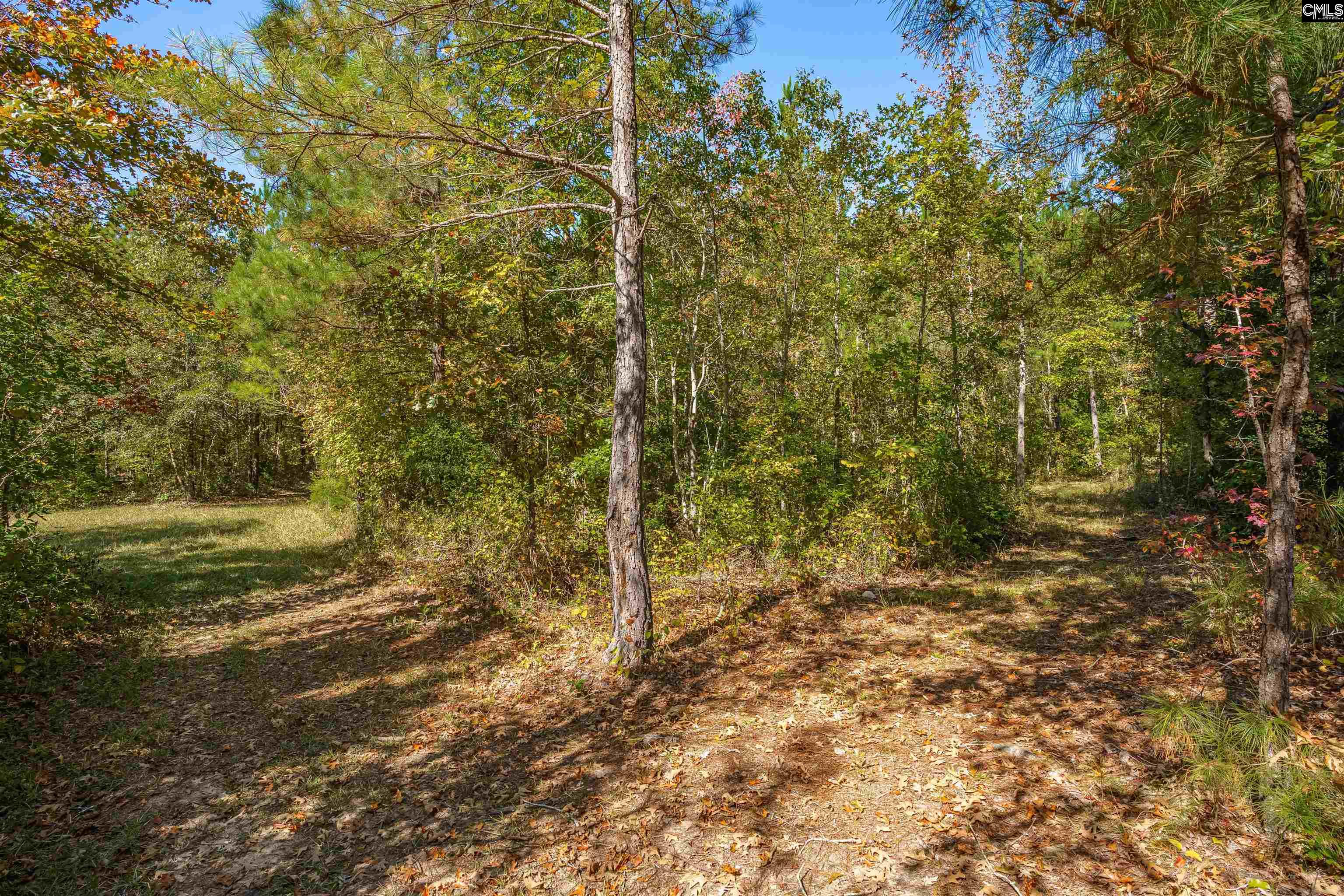 1335 Fulmer Road Blythewood, SC 29016