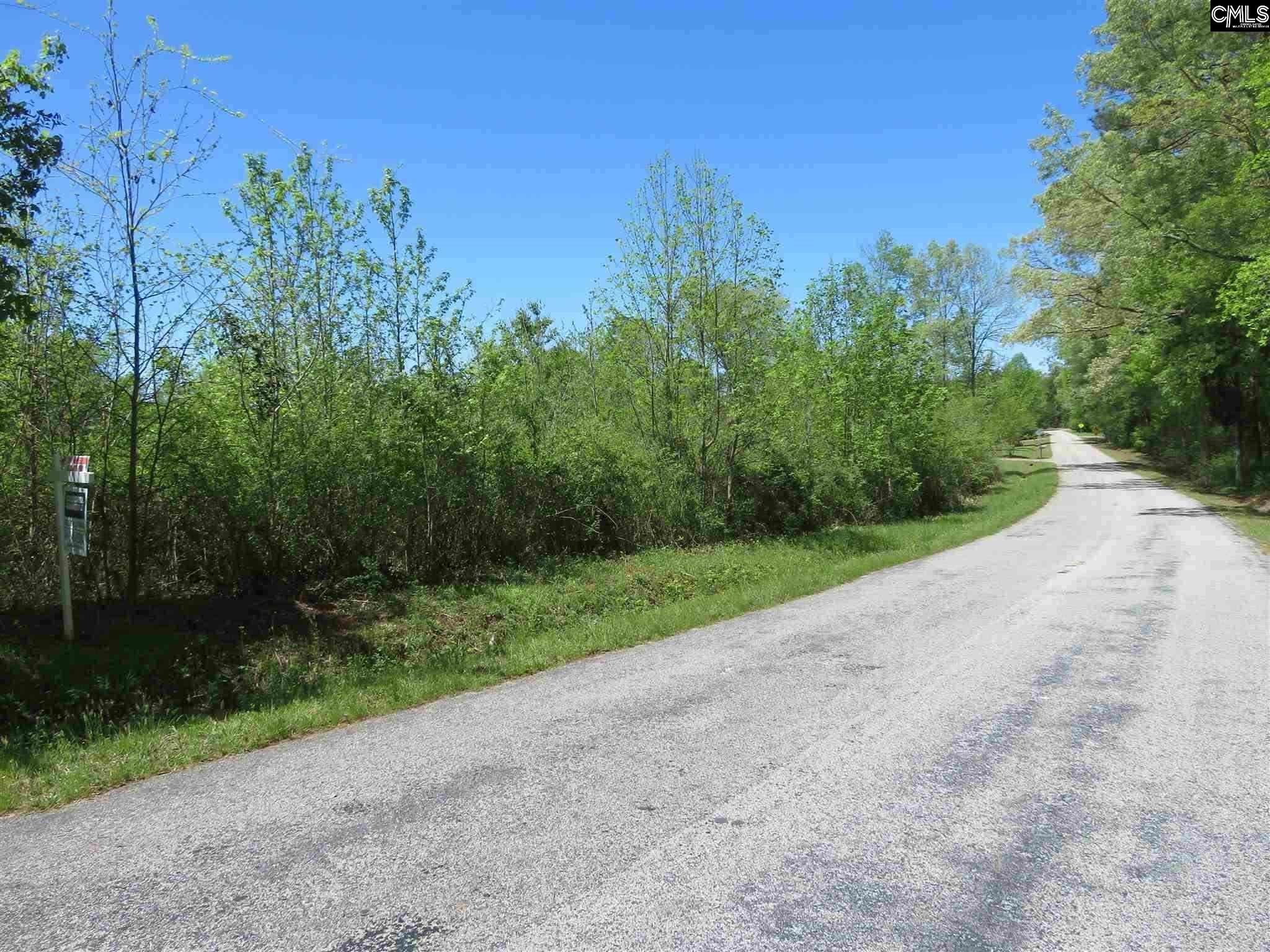 Parr Rd Little Mountain, SC 29075