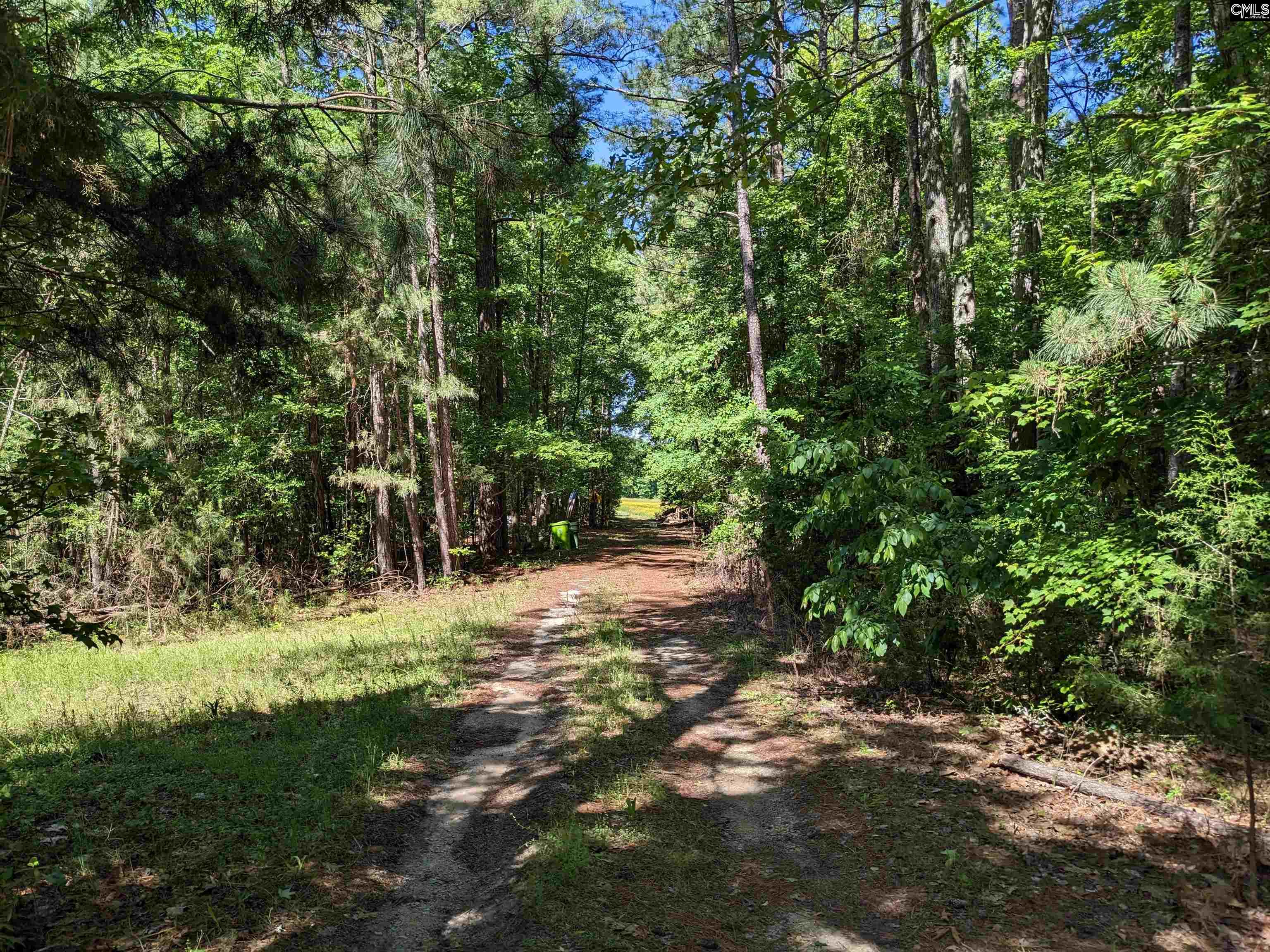 Minger Road Blythewood, SC 29016
