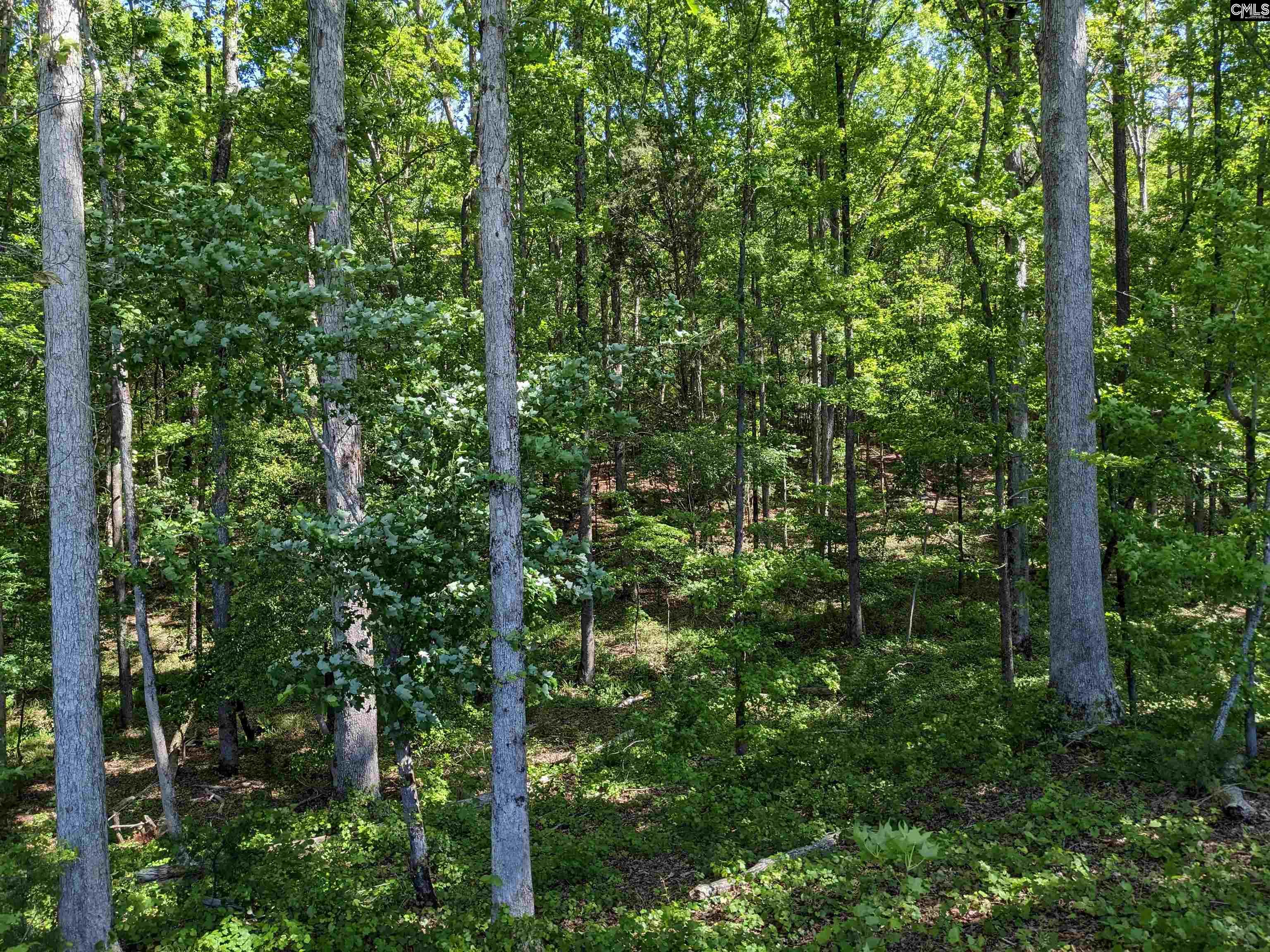Minger Road Blythewood, SC 29016