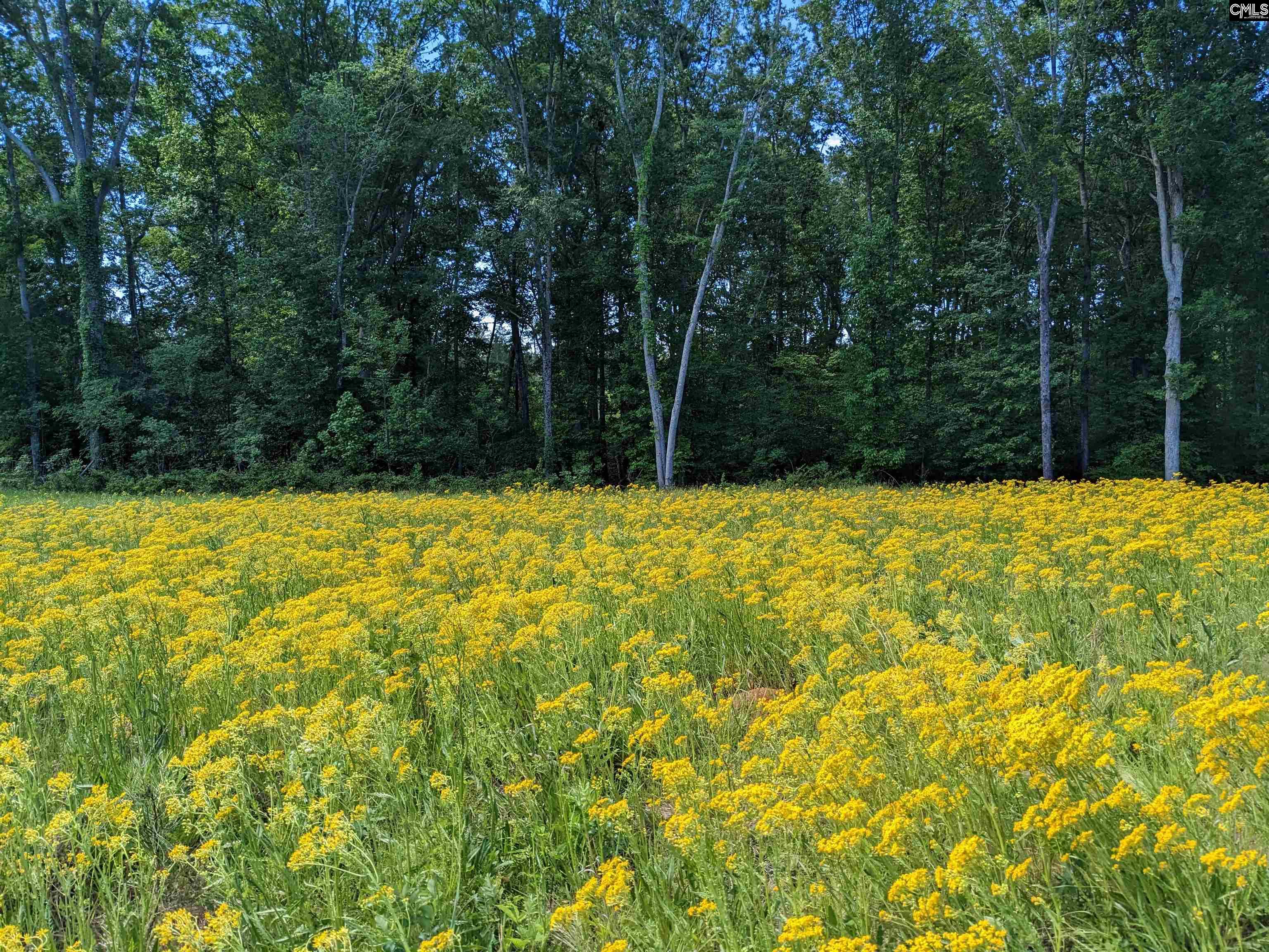 Minger Road Blythewood, SC 29016