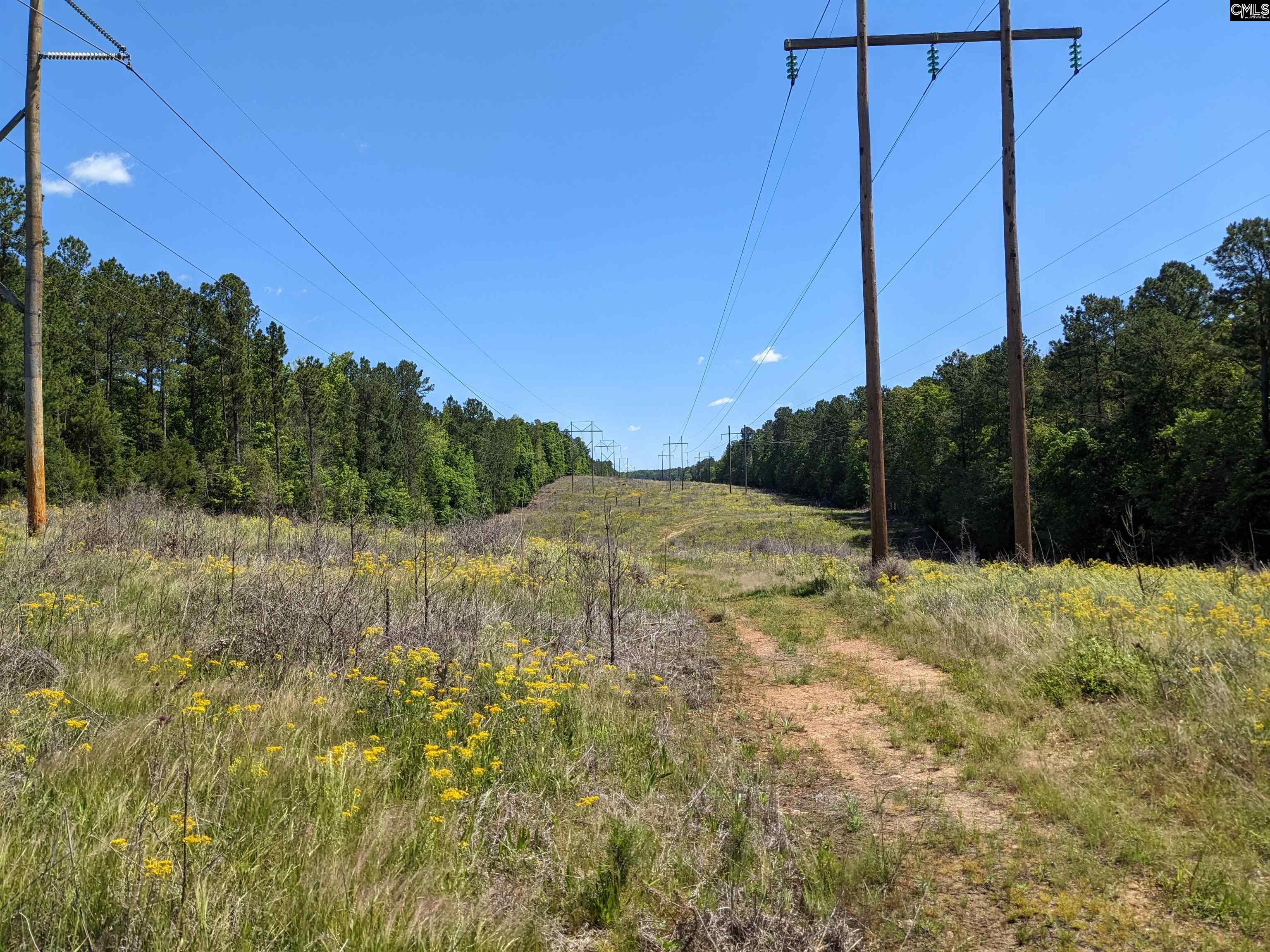 Minger Road Blythewood, SC 29016