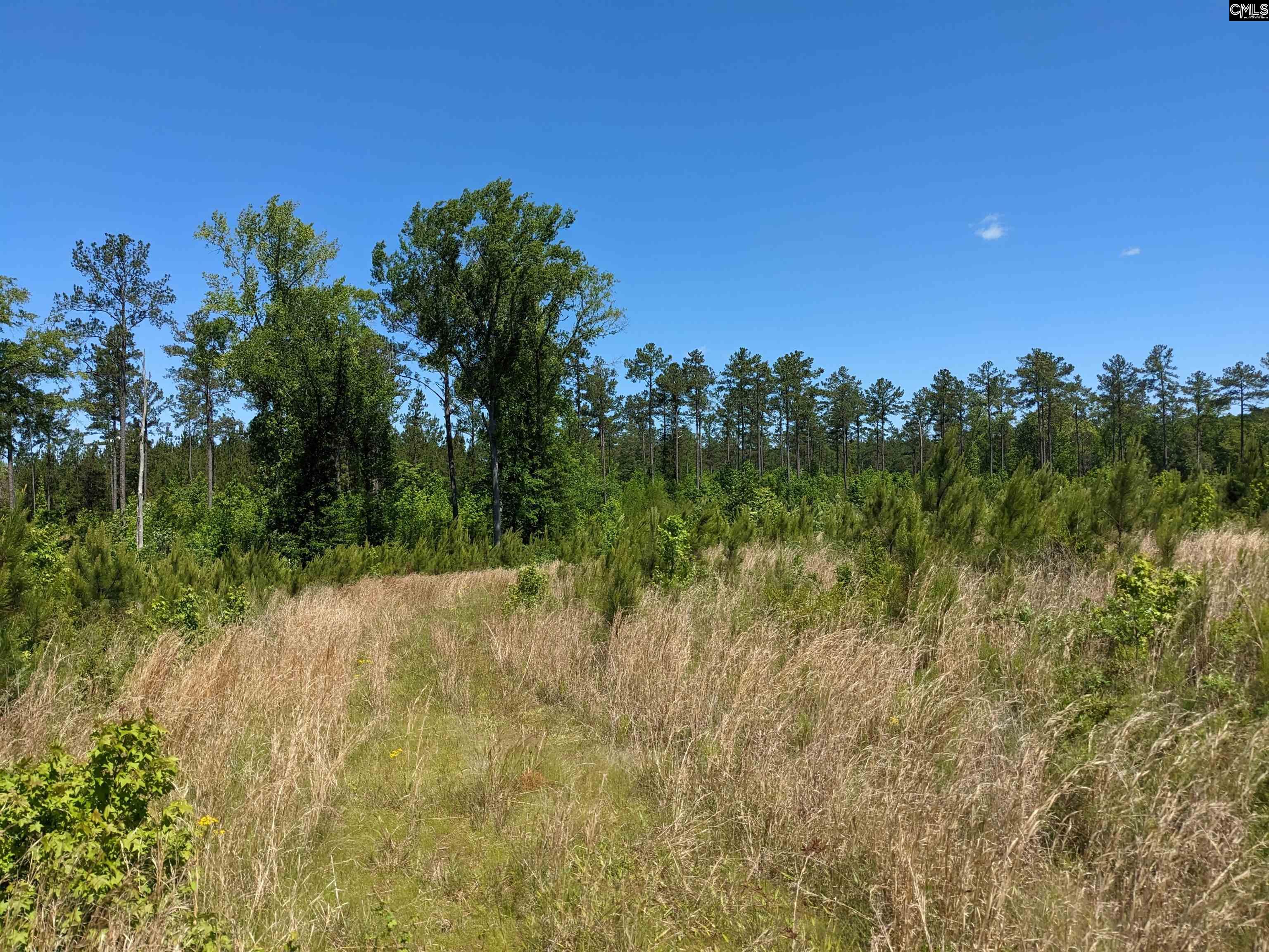 Minger Road Blythewood, SC 29016