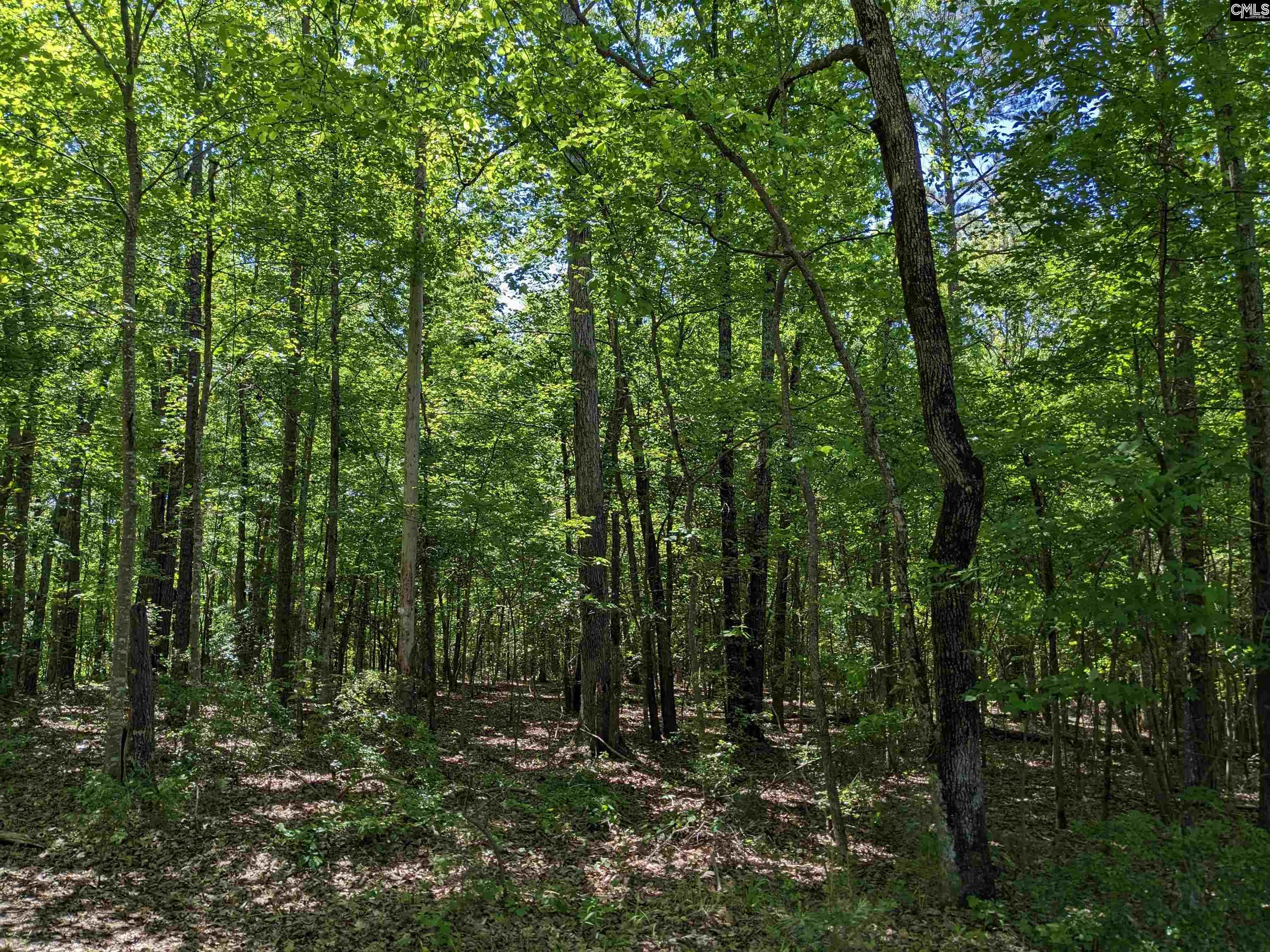 Minger Road Blythewood, SC 29016