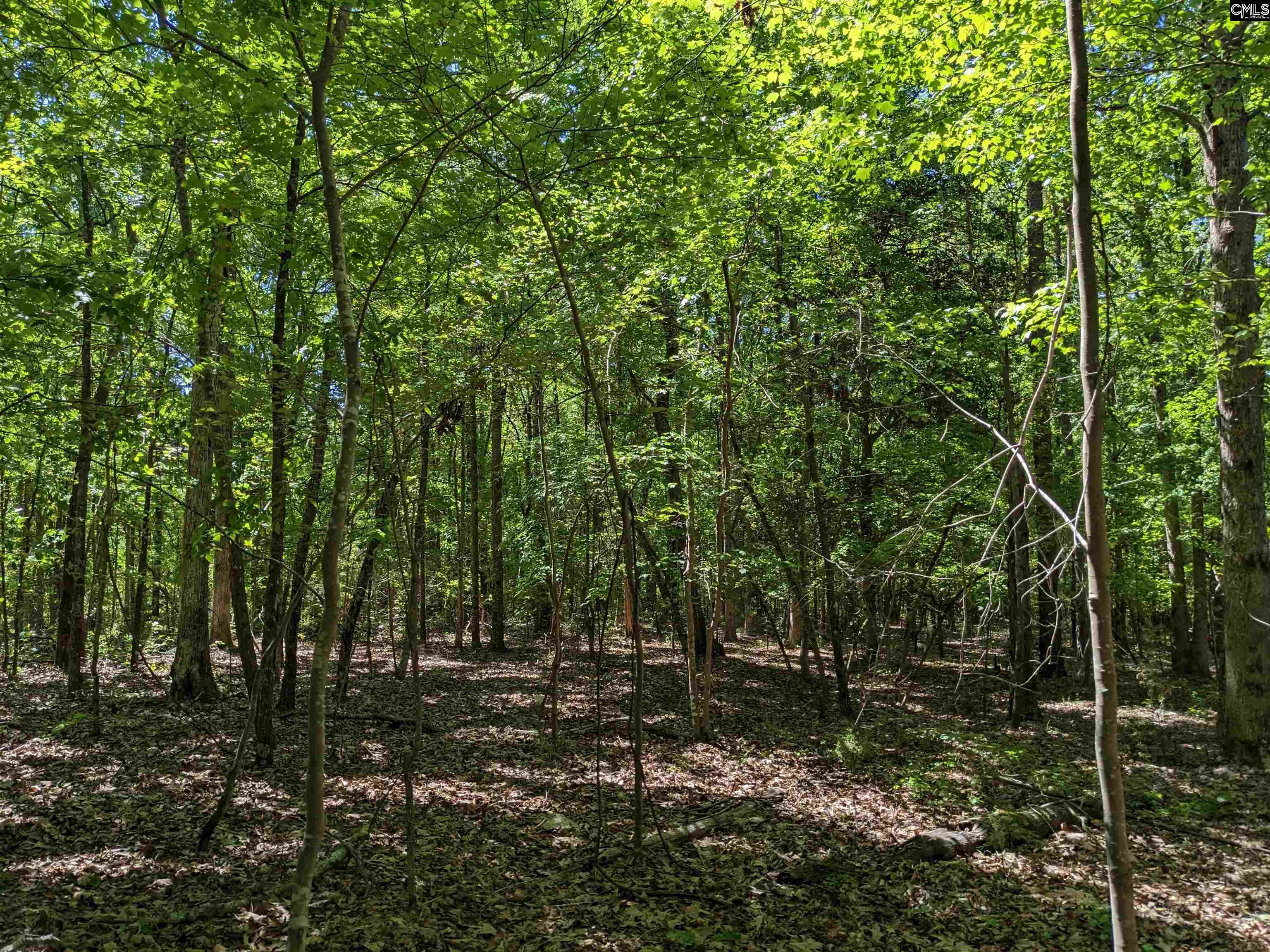 Minger Road Blythewood, SC 29016