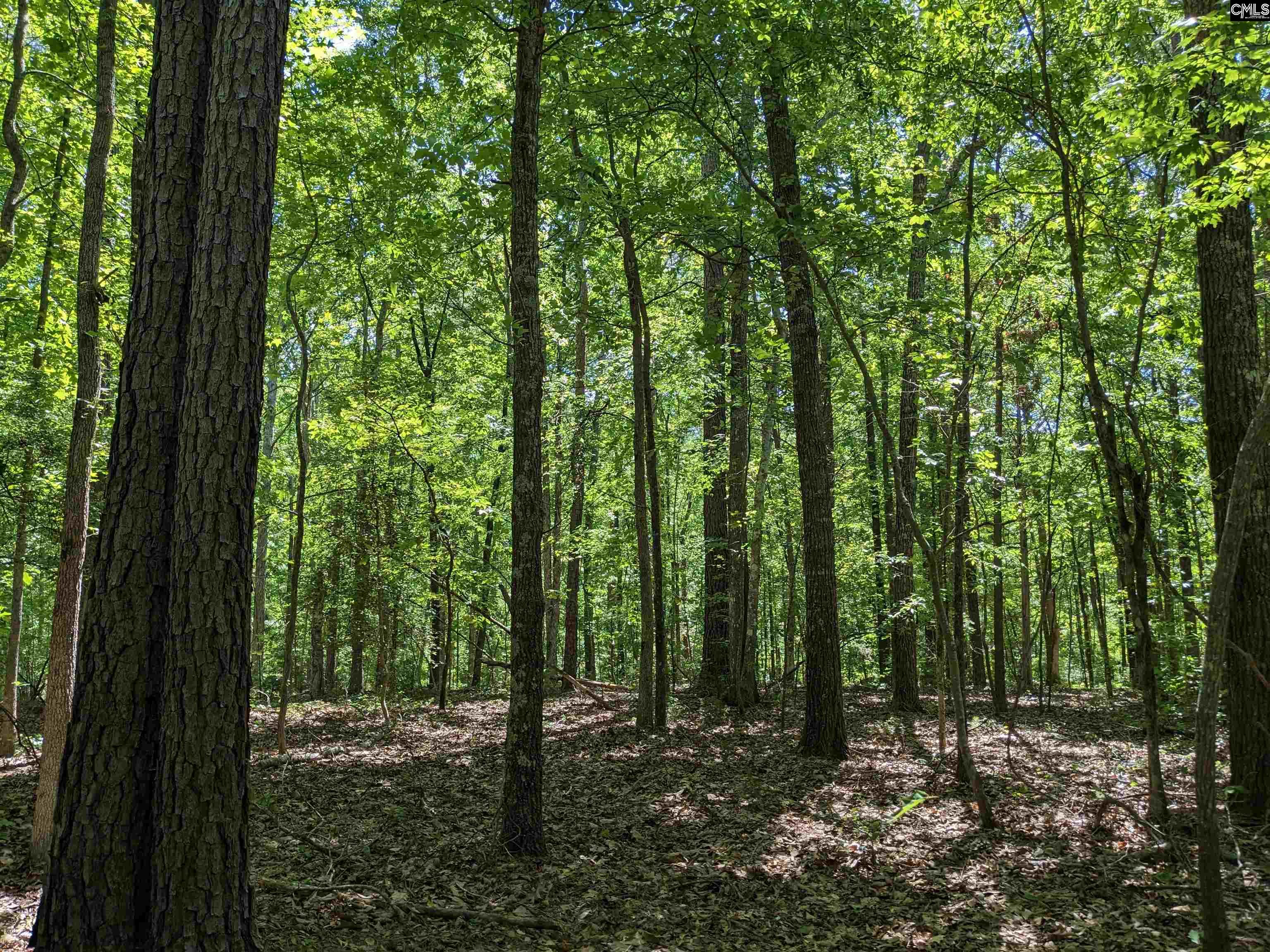 Minger Road Blythewood, SC 29016