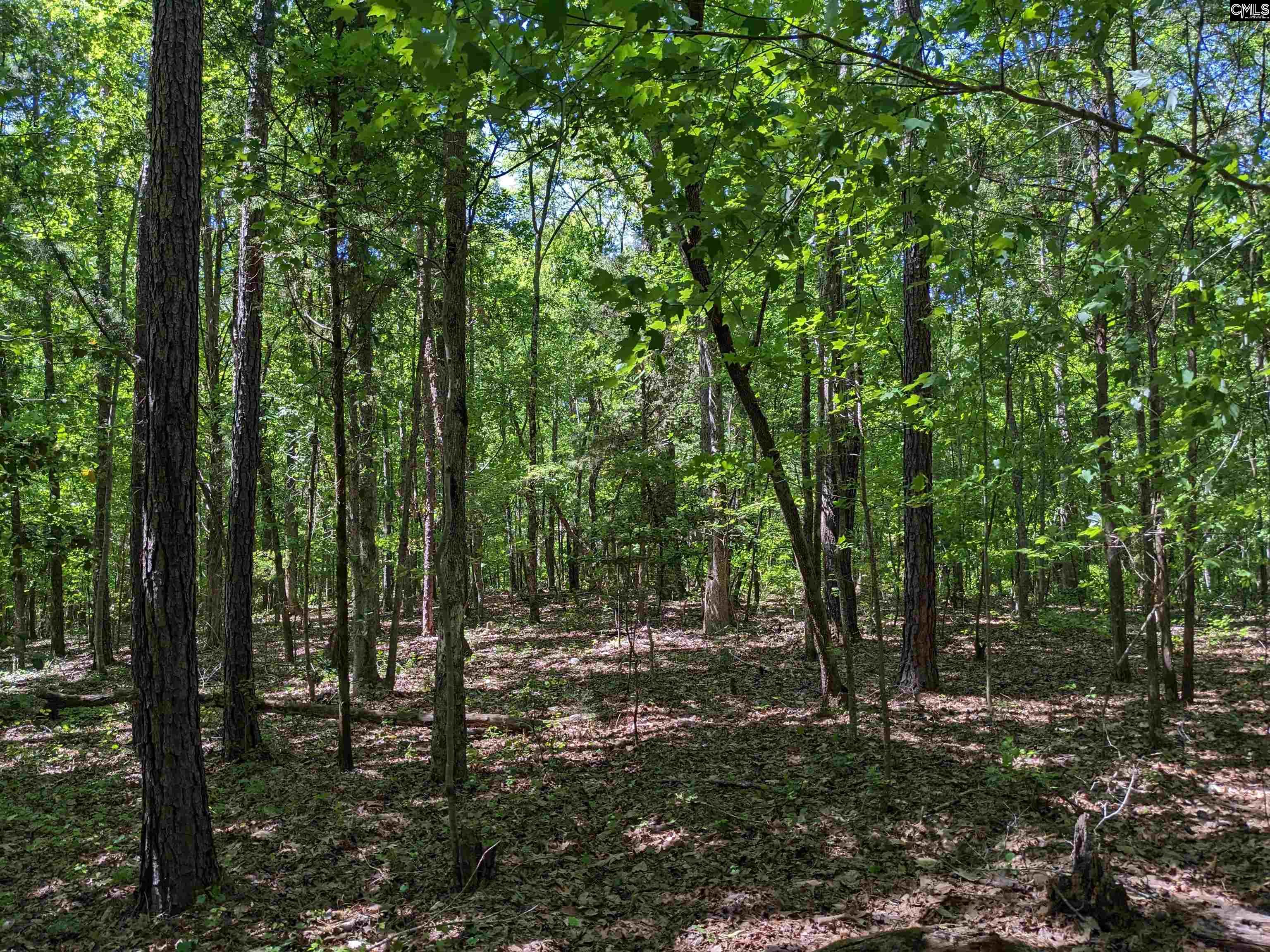 Minger Road Blythewood, SC 29016