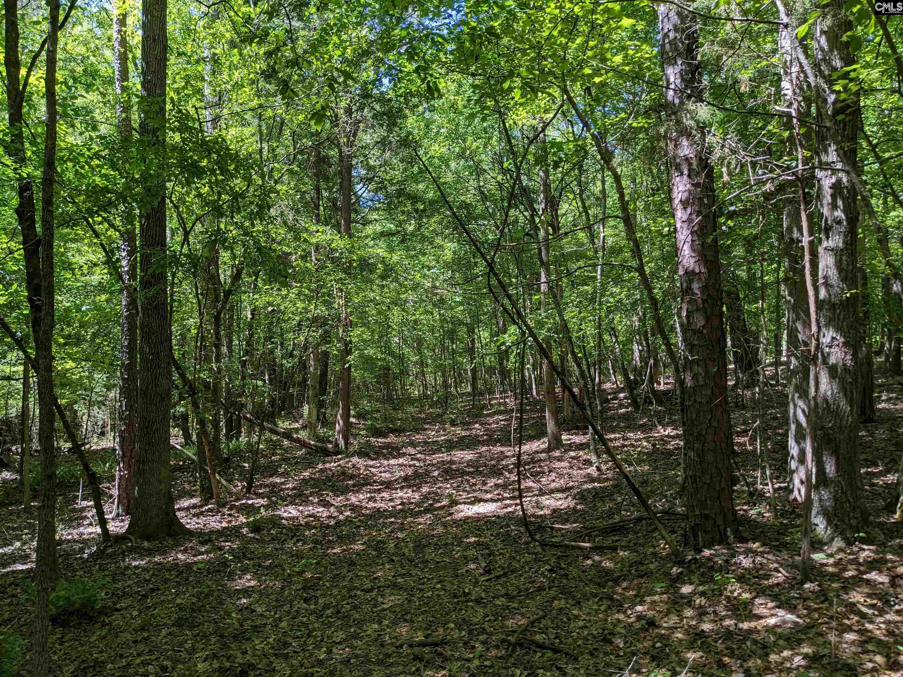 Minger Road Blythewood, SC 29016