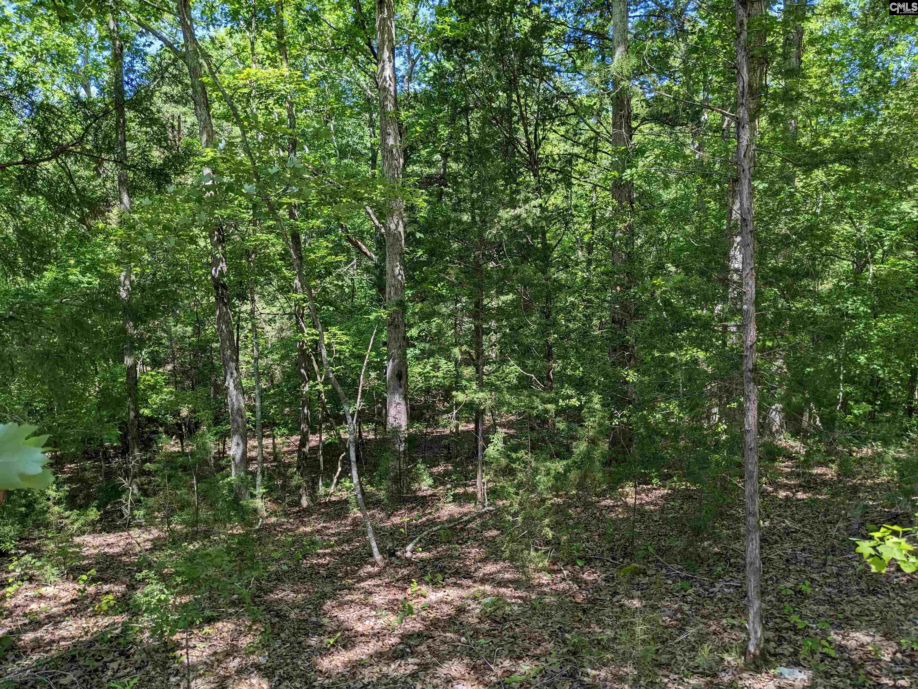 Minger Road Blythewood, SC 29016