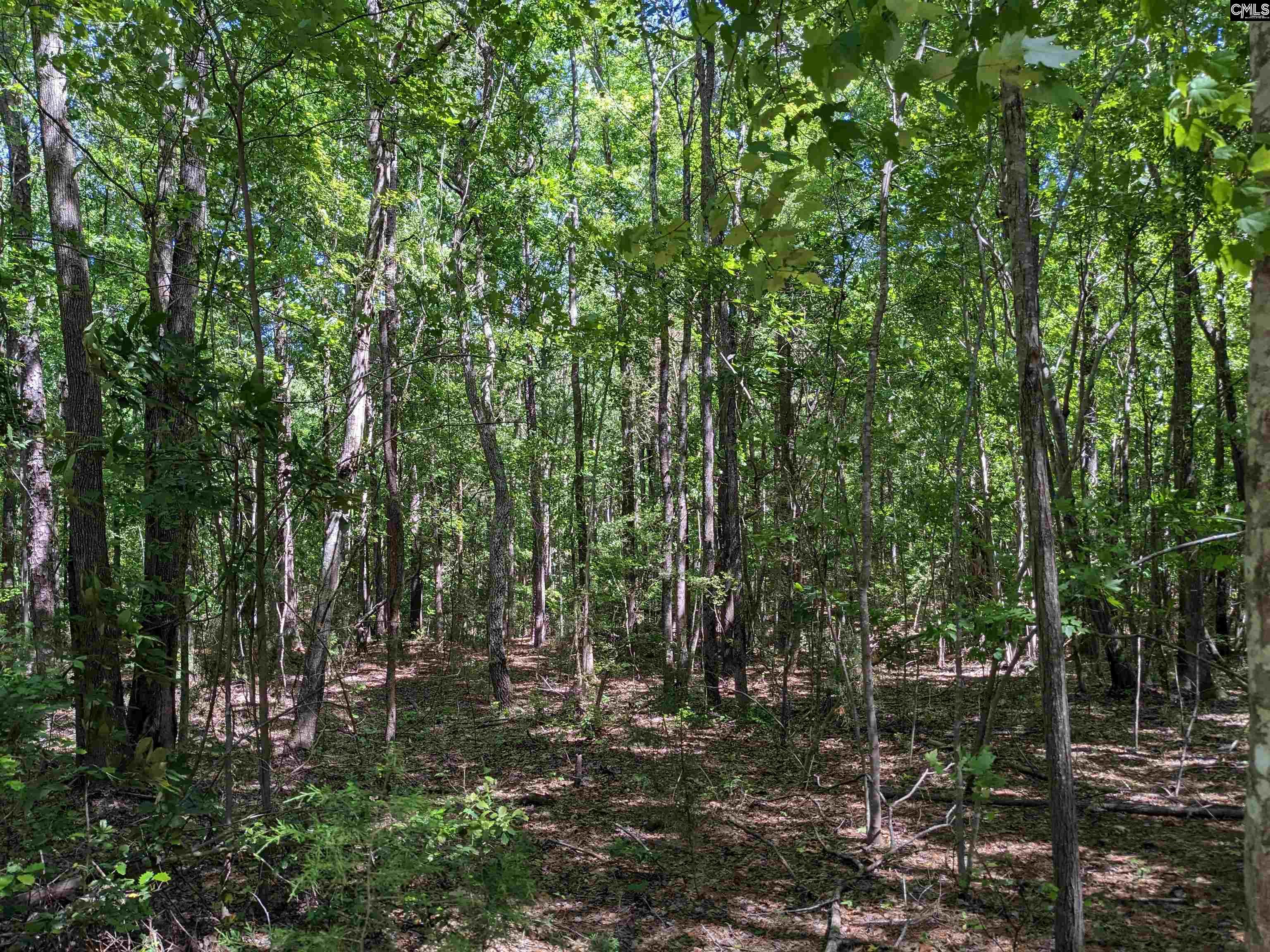 Minger Road Blythewood, SC 29016