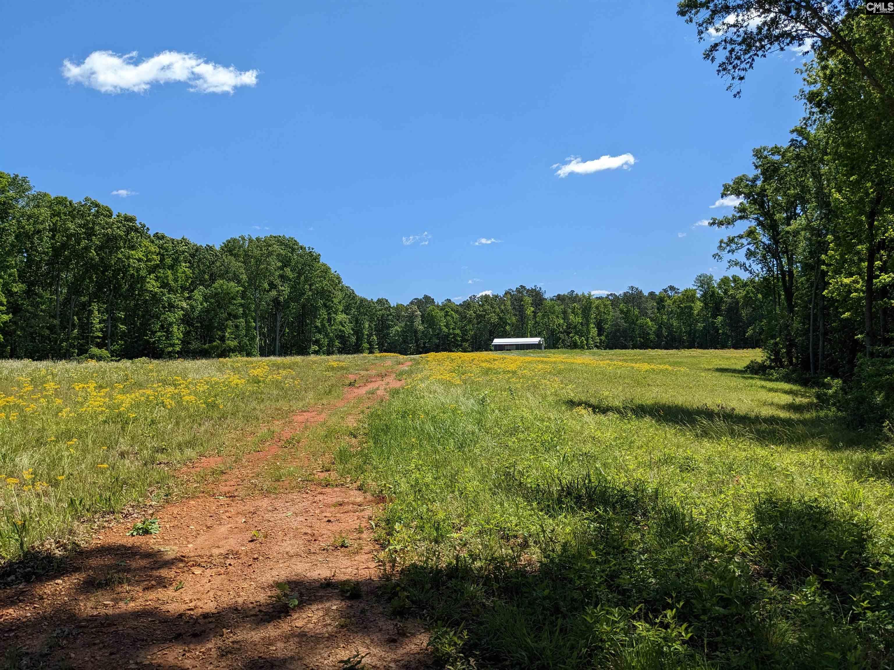 Minger Road Blythewood, SC 29016