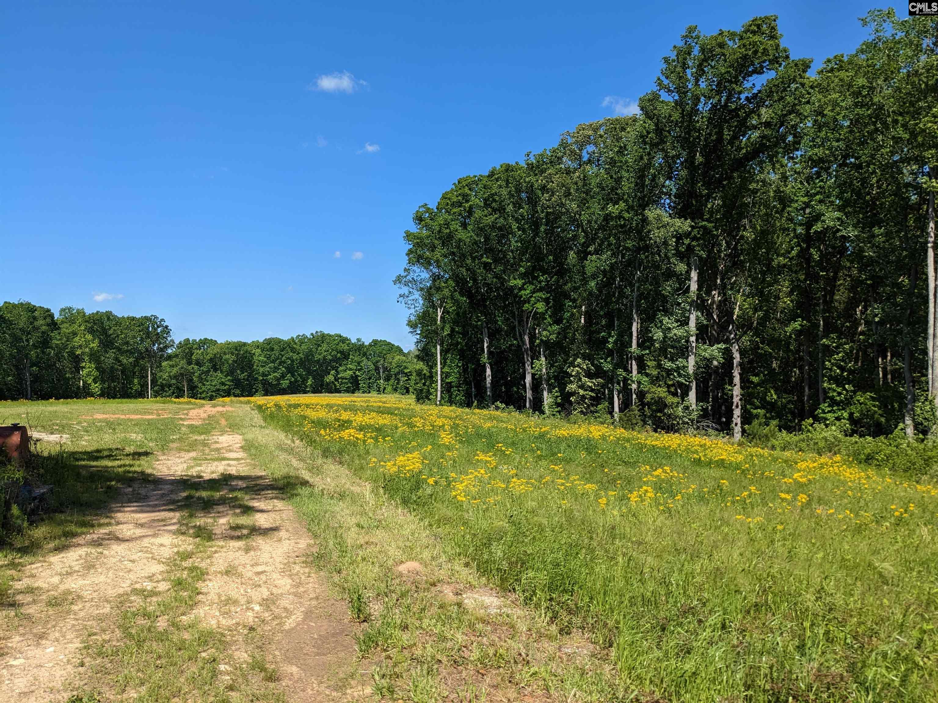 Minger Road Blythewood, SC 29016