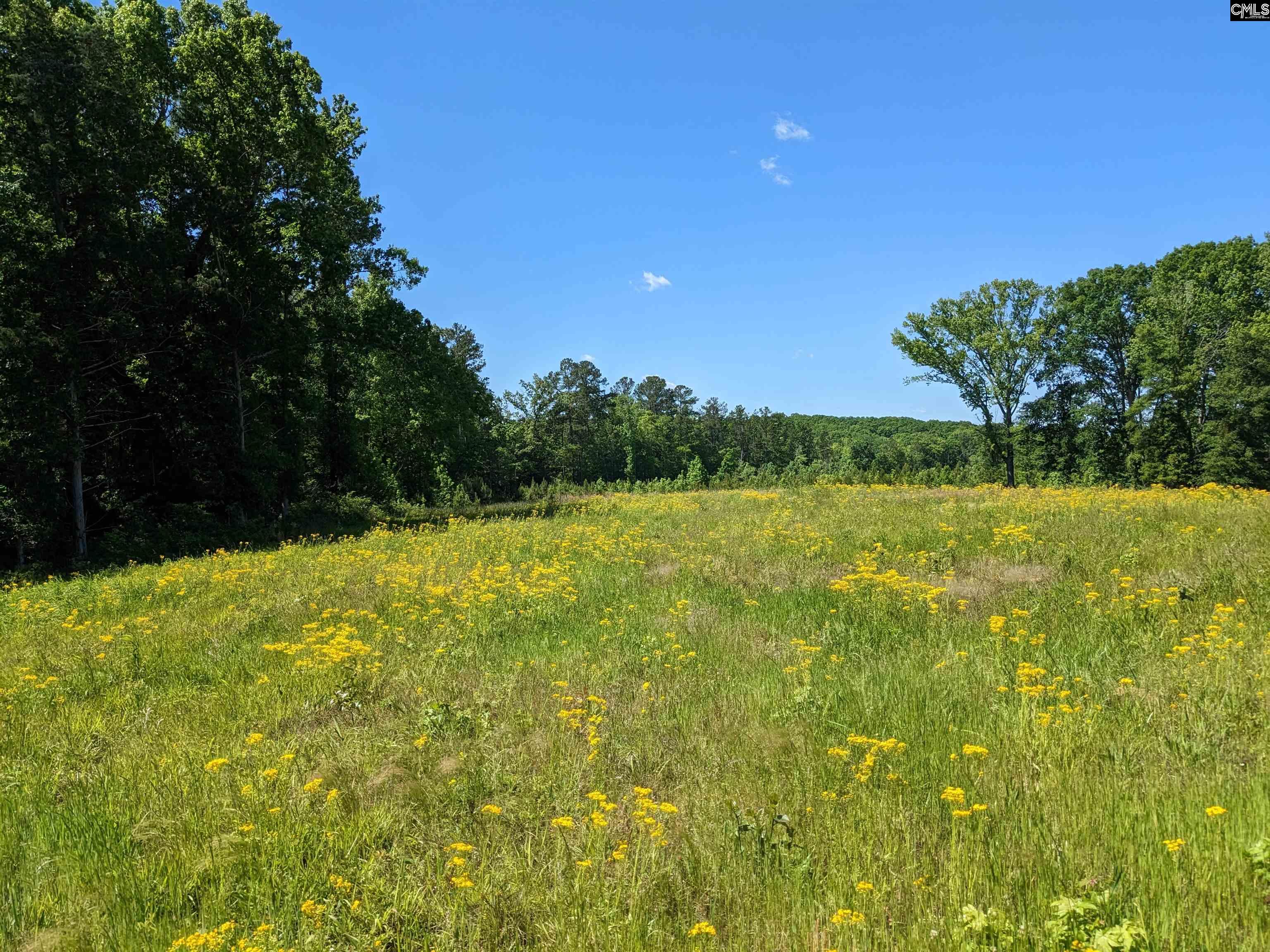 Minger Road Blythewood, SC 29016