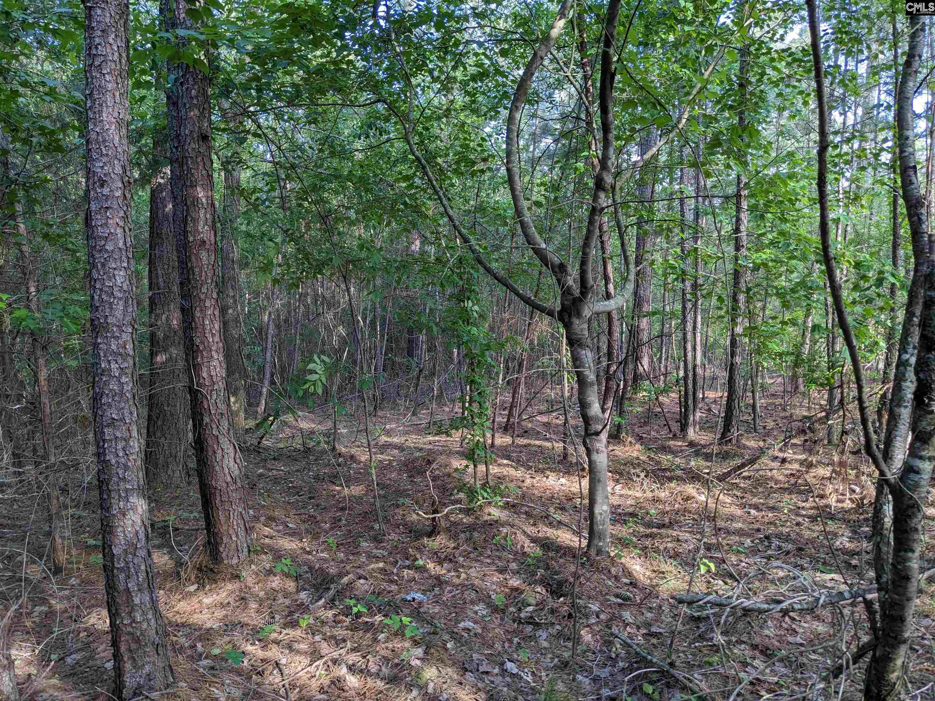 Highway 321 Bypass Winnsboro, SC 29180