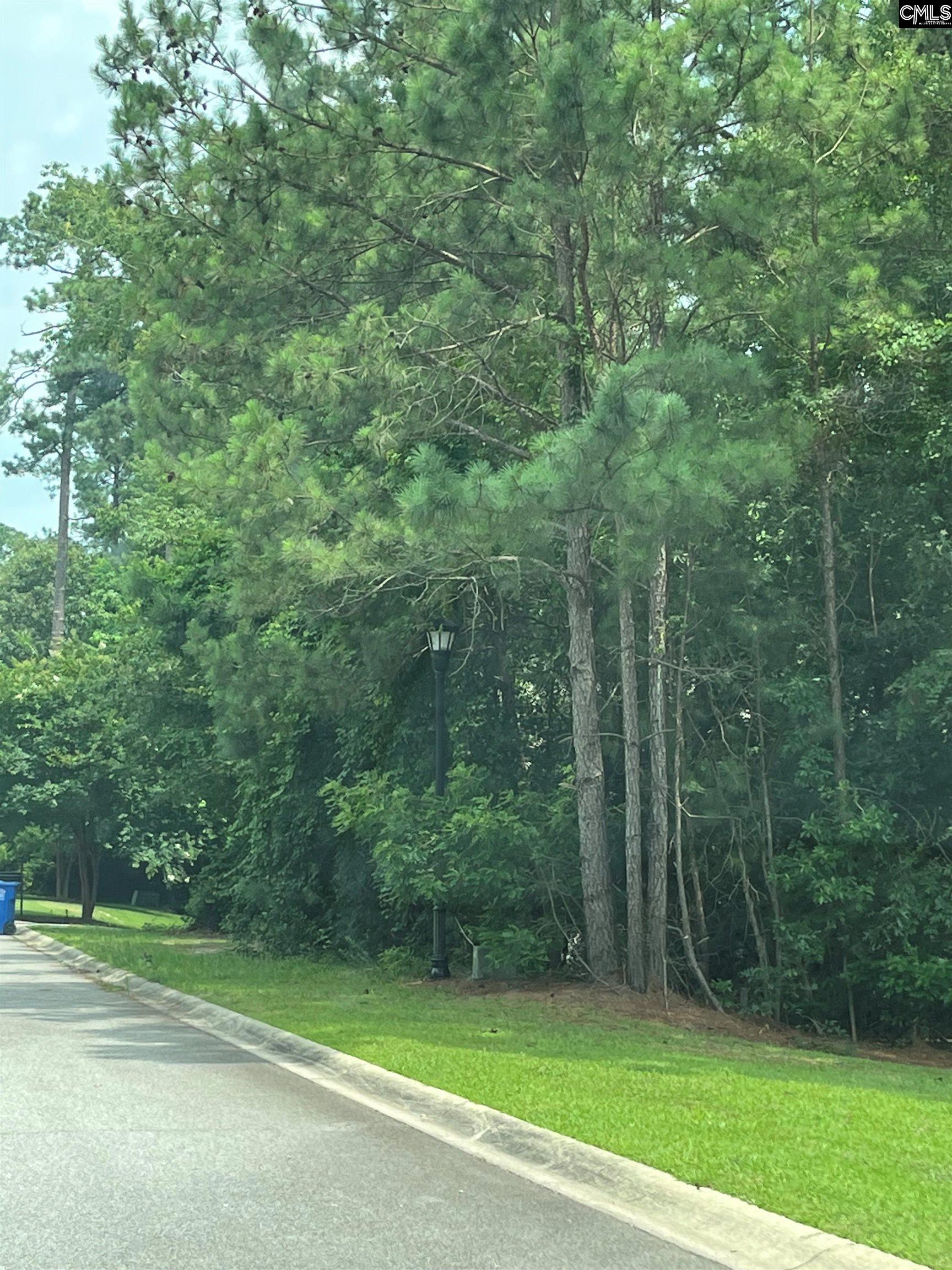 200 Deer Crossing Elgin, SC 29045