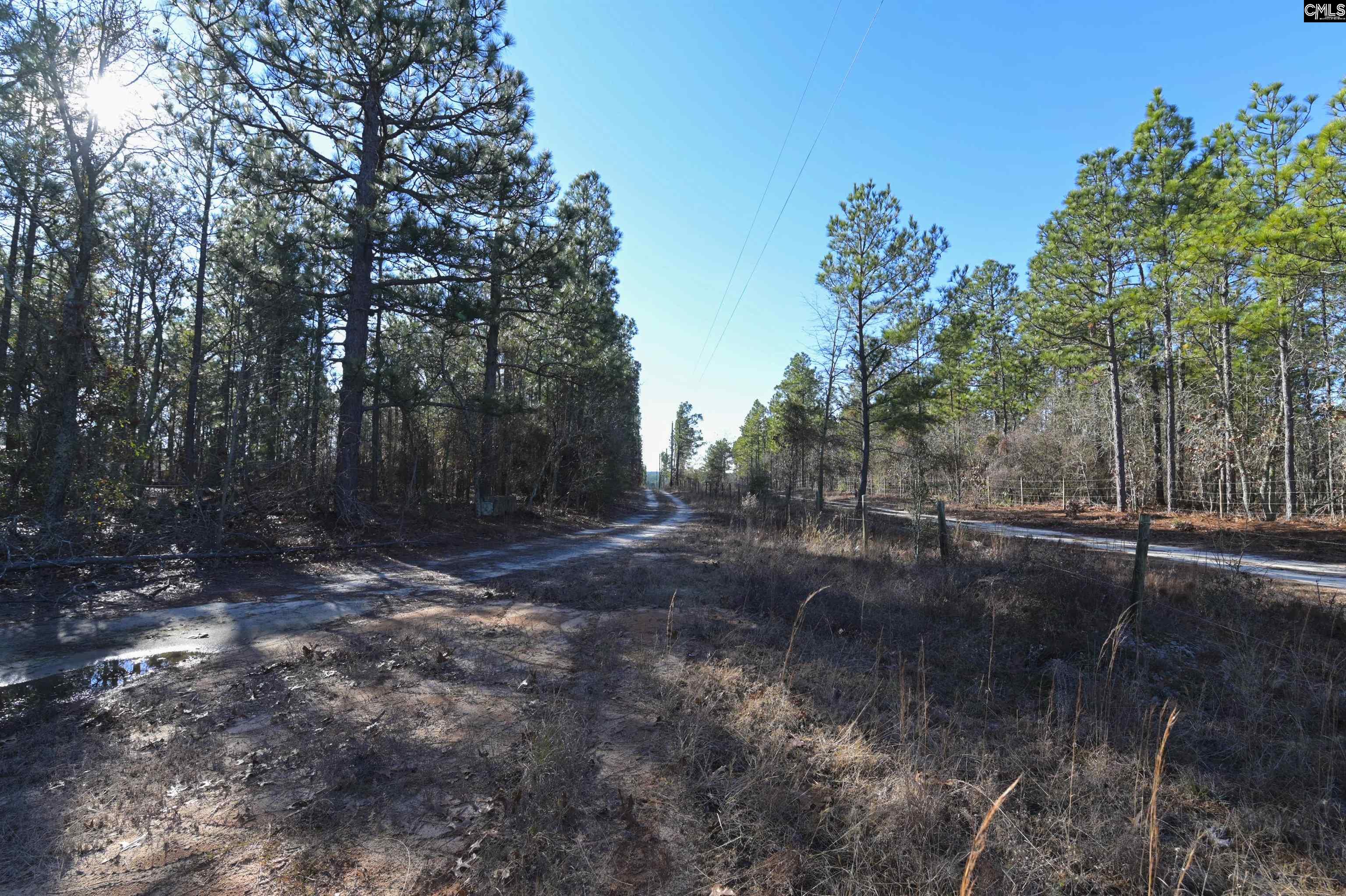 1446 Mack Street Gaston, SC 29053