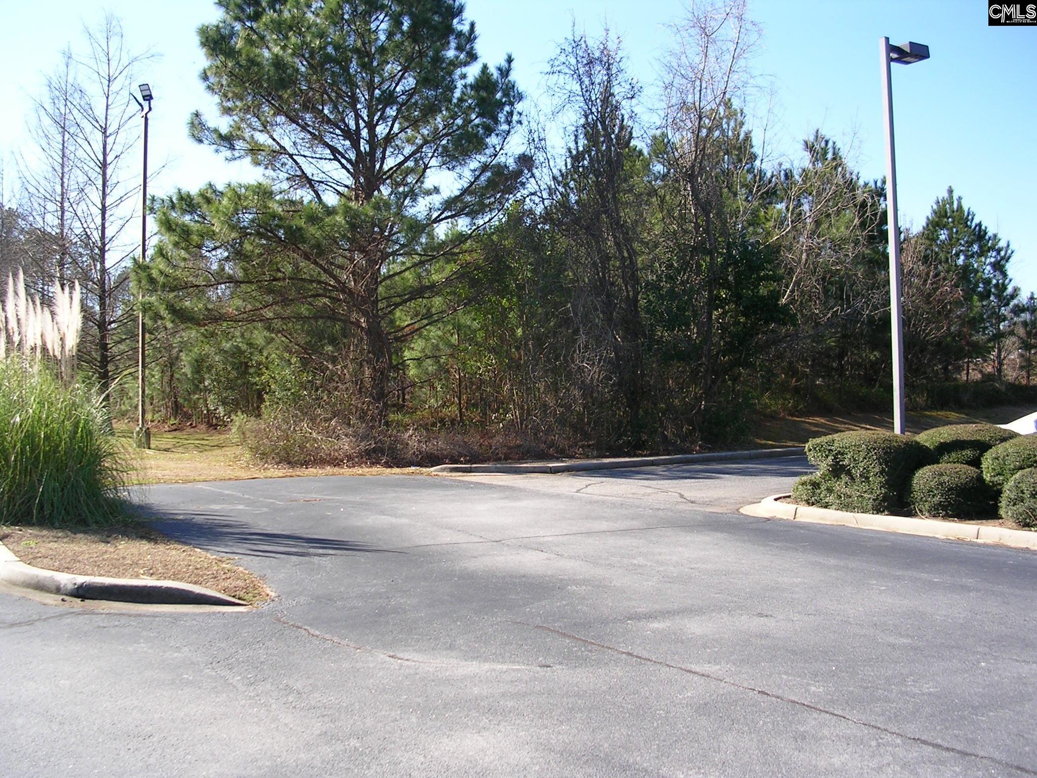 1722 Bush River Road UNIT C-2B PT 36 Columbia, SC 29210