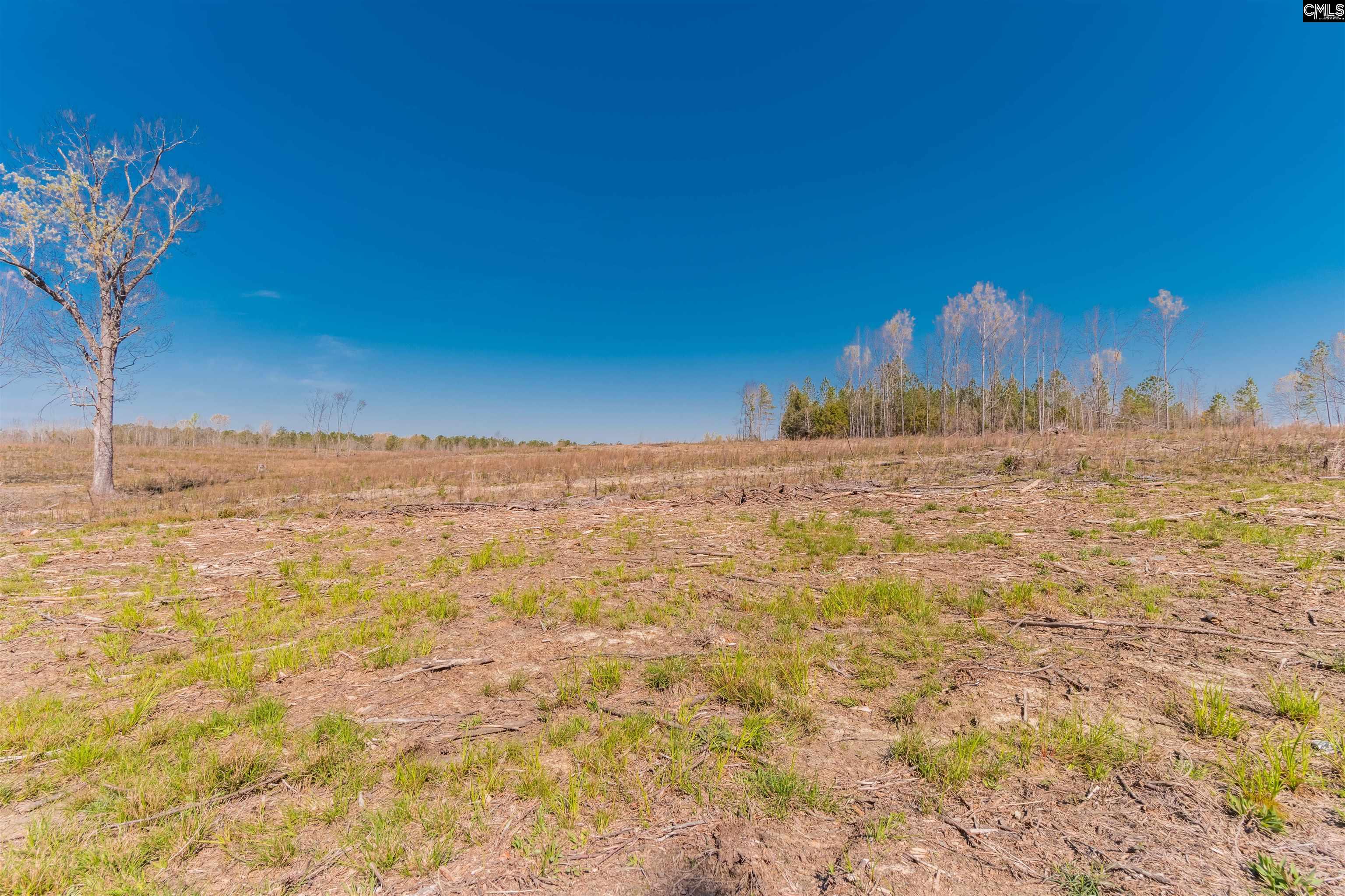 Duncan Road UNIT #4 Batesburg, SC 29006