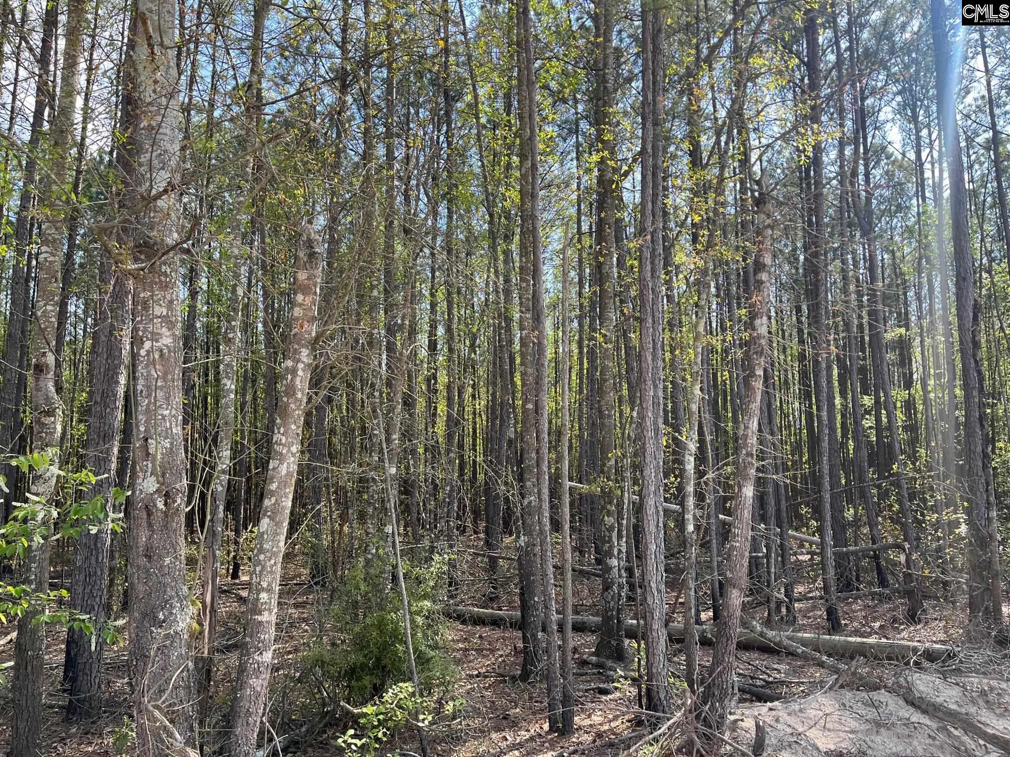 00 Cottage Road West Columbia, SC 29172