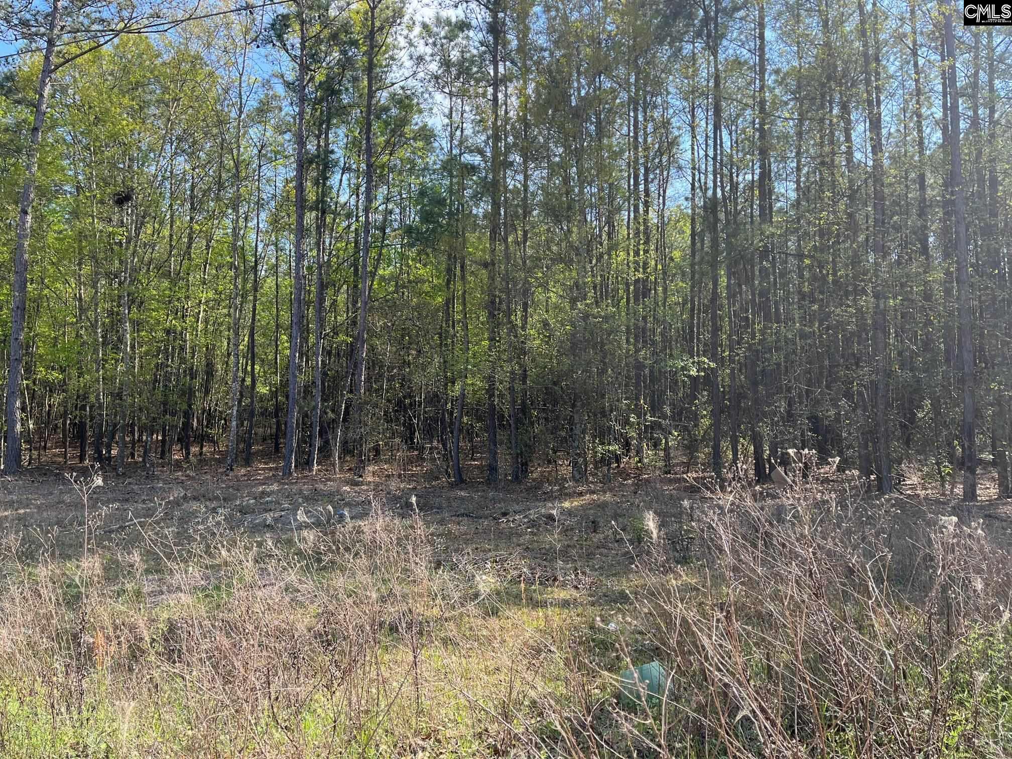 00 Cottage Road West Columbia, SC 29172