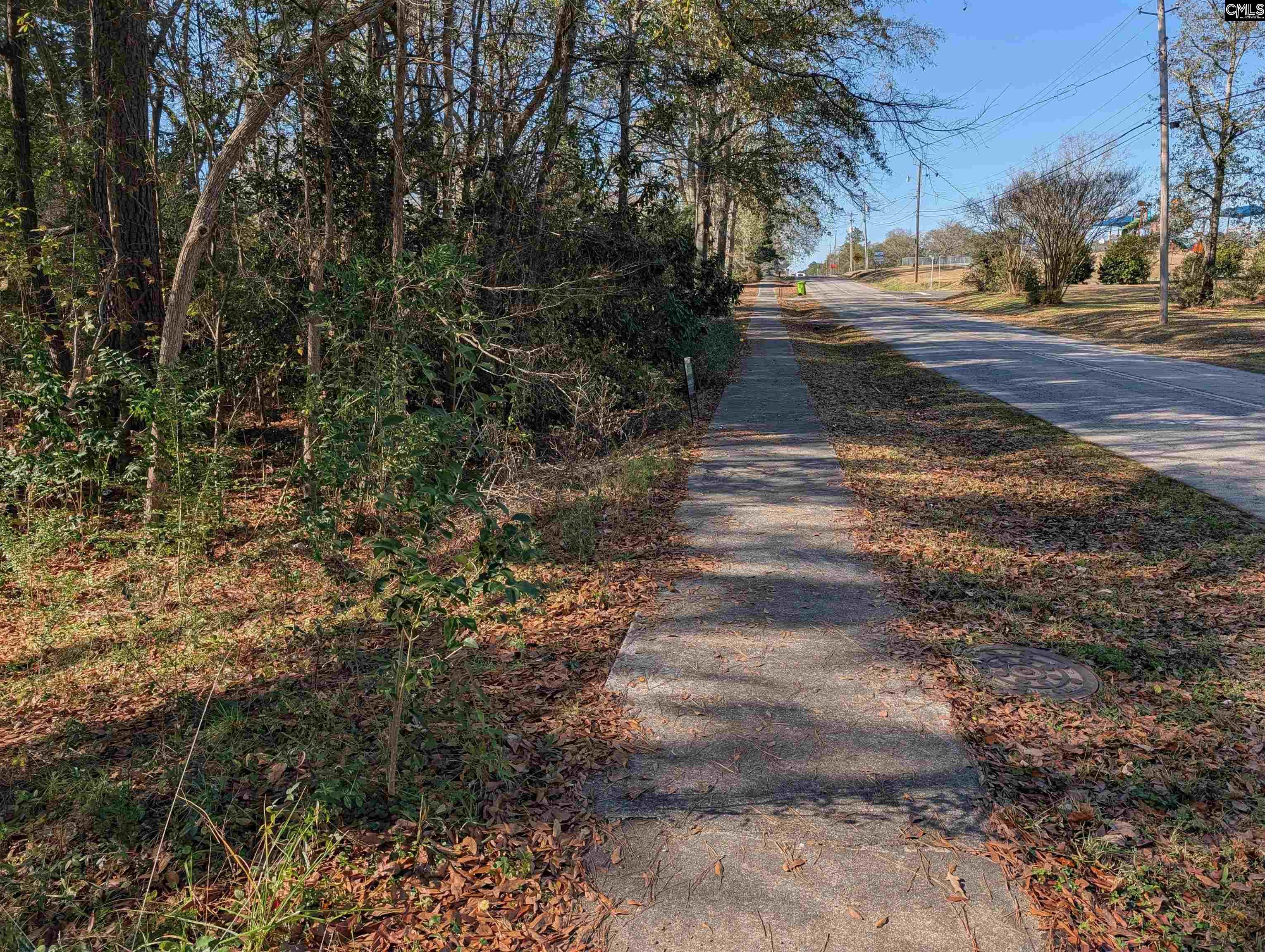 Brown Street Prosperity, SC 29127