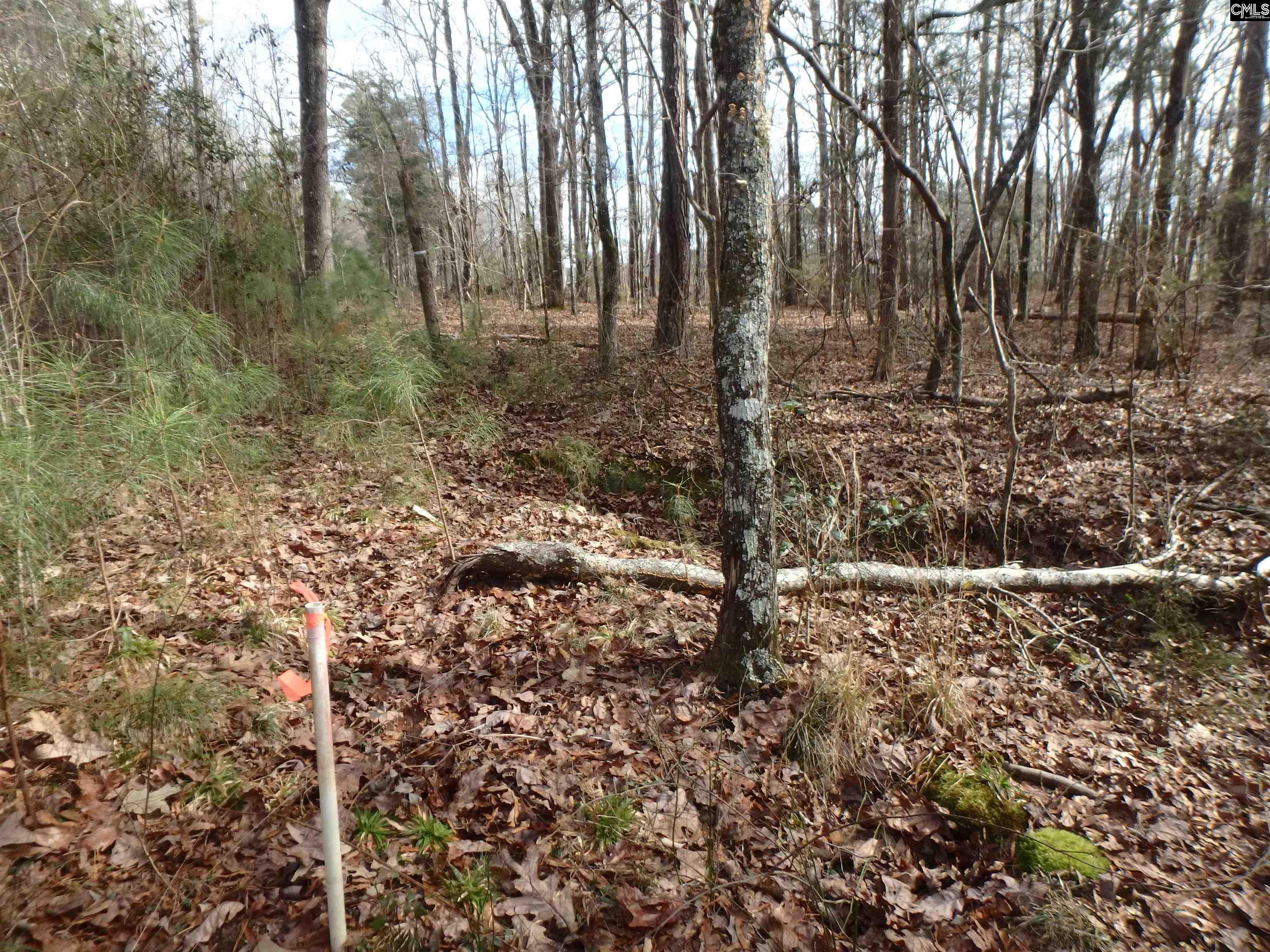 Amicks Ferry Road Chapin, SC 29036