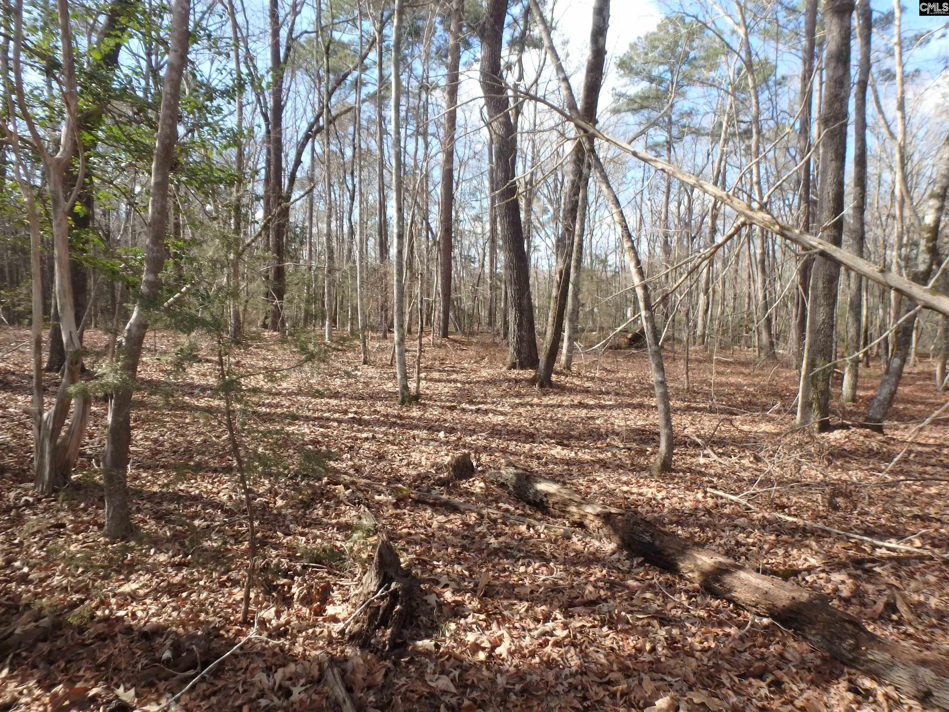 Amicks Ferry Road Chapin, SC 29036